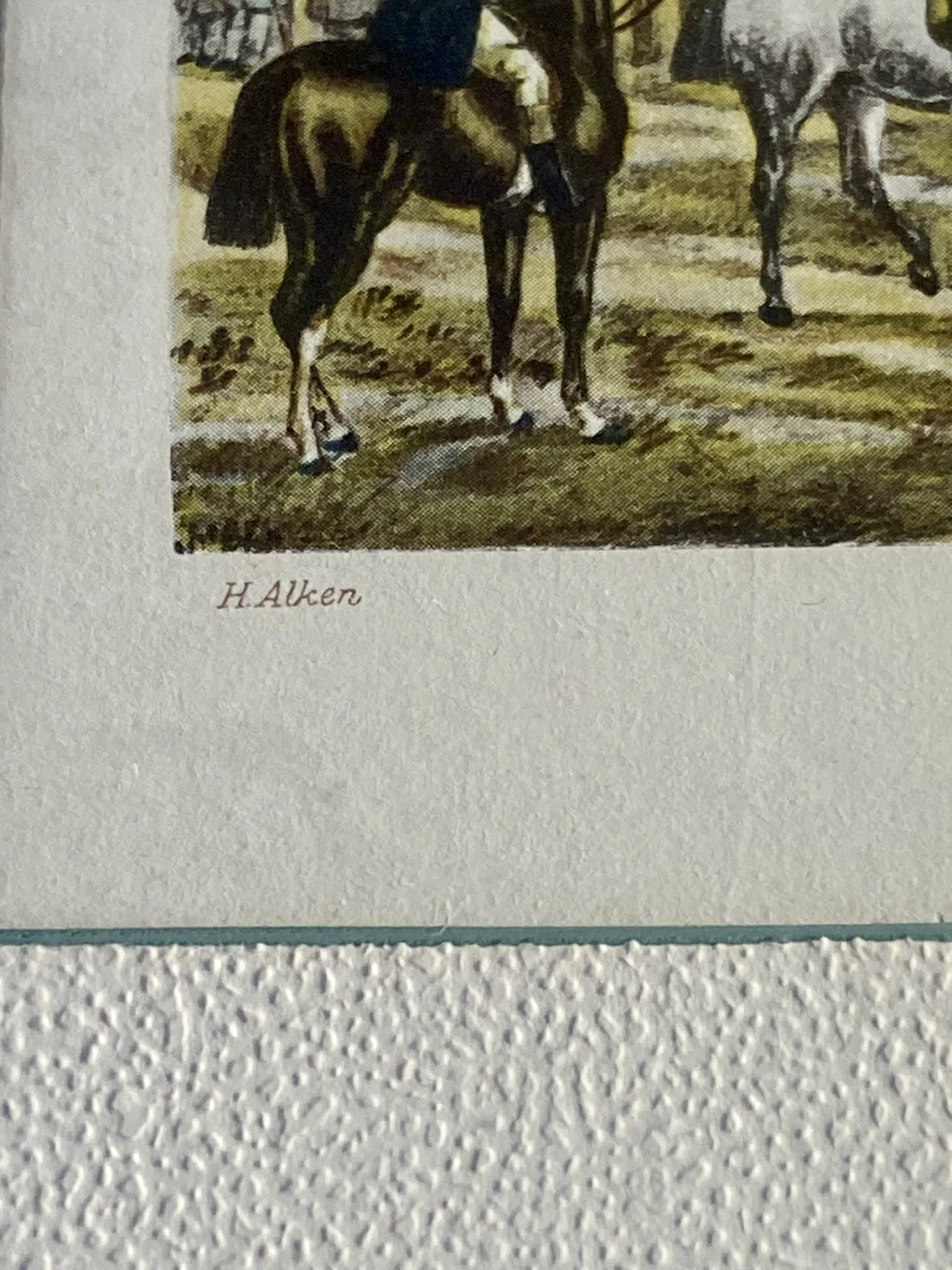 IMG_1337.jpeg