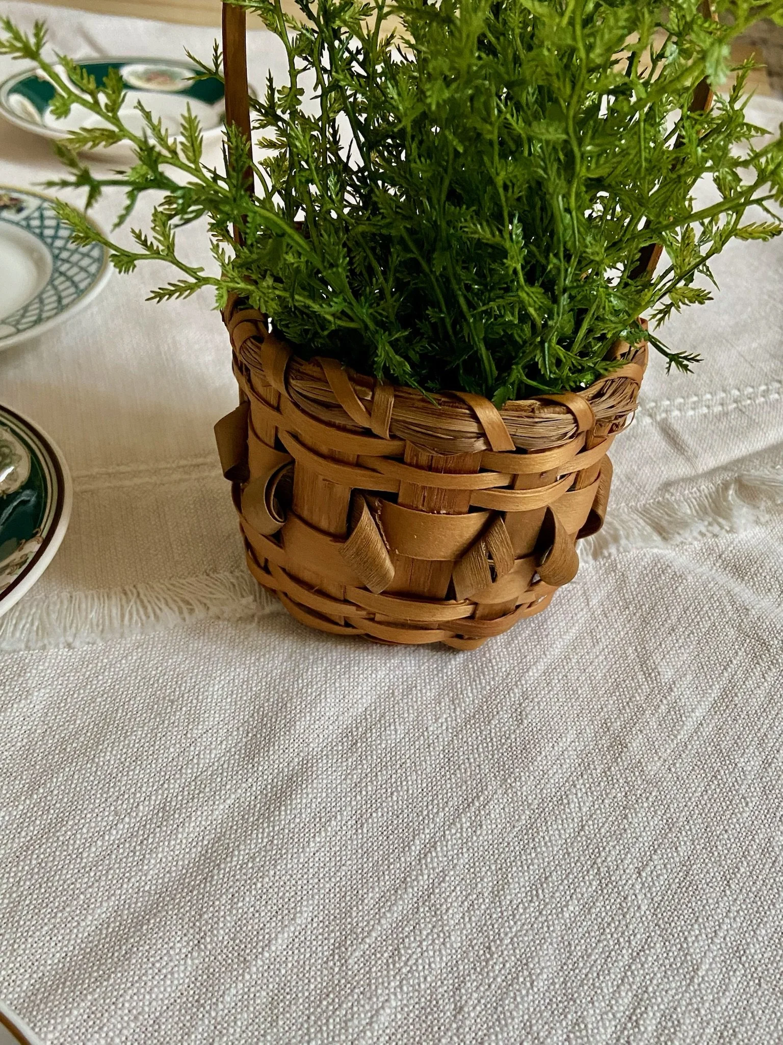 Penobscot Maine Native American Berry Basket with Porcupine curls