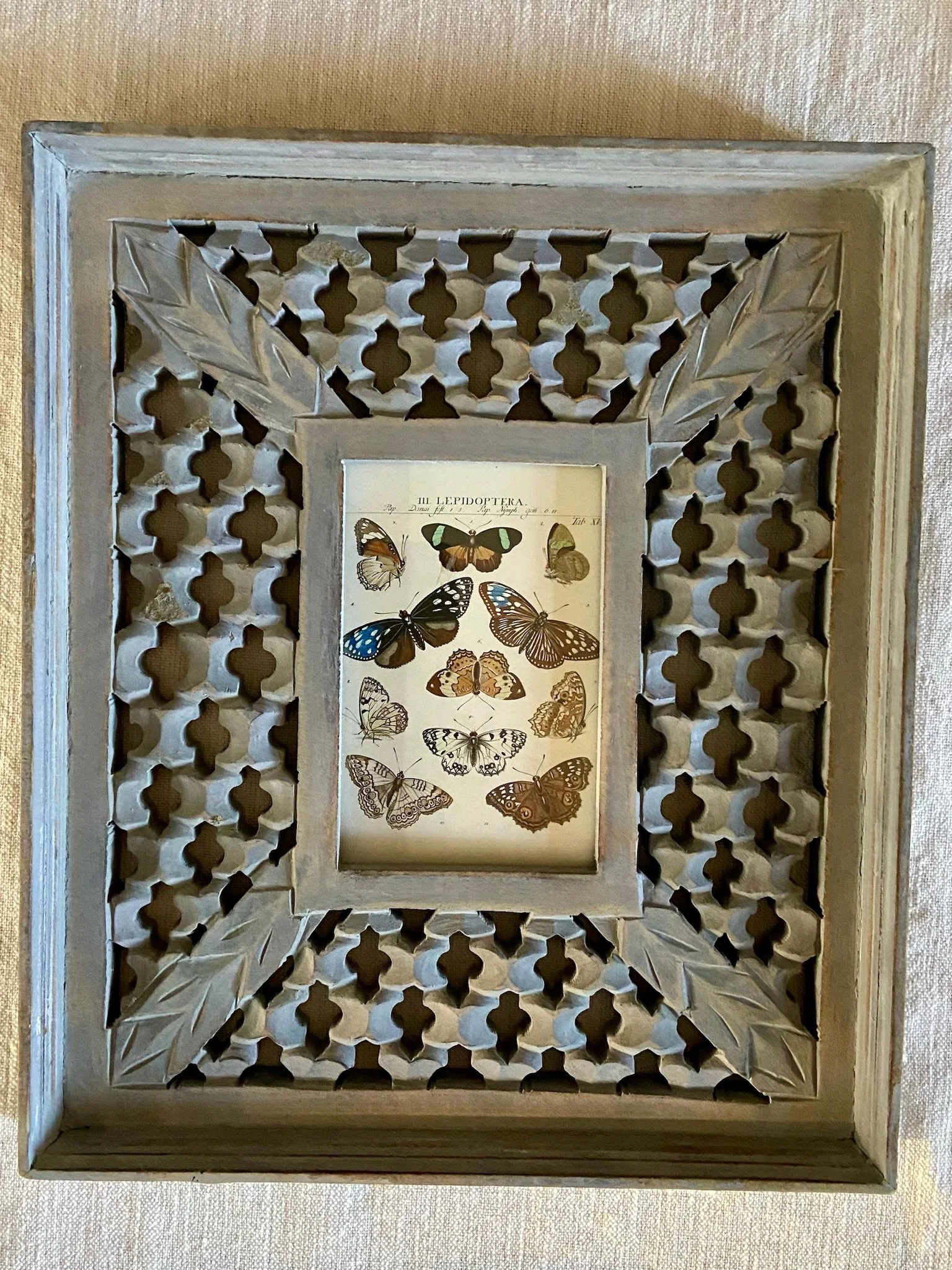 IMG_2273.jpeg