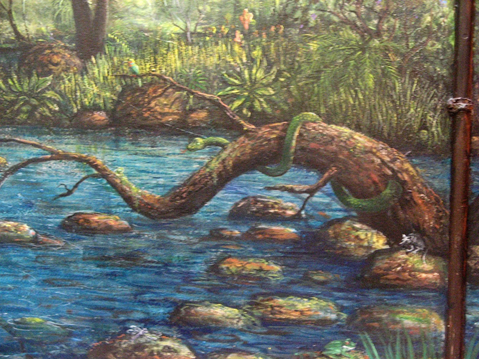 Painting of a green snake on a tree branch over a river with rocks, surrounded by lush green jungle foliage.