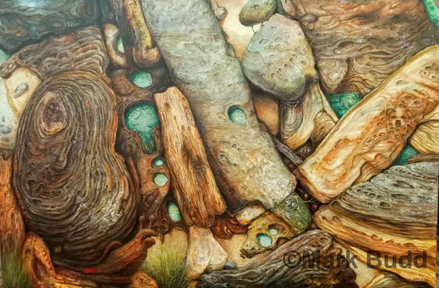 Close-up painting of beach rocks with natural textures and coastal light by Mark Budd