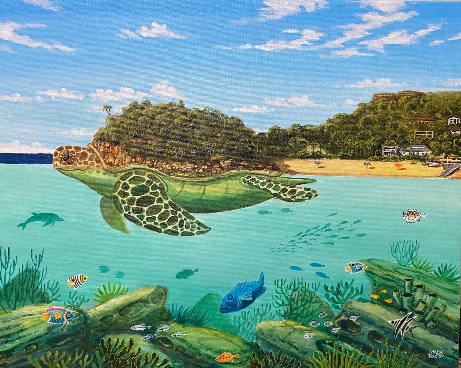 Turtle-Shelly-Beach-Manly-painting-40x50.jpg