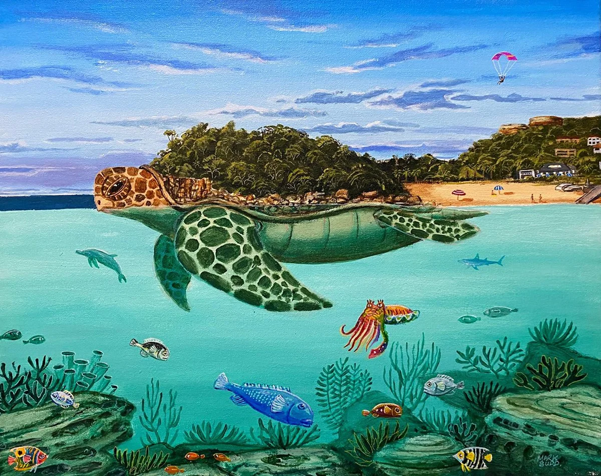 Shelly Beach Turtle Headland - Manly, Sydney, Australia | 50 X 40 Cm