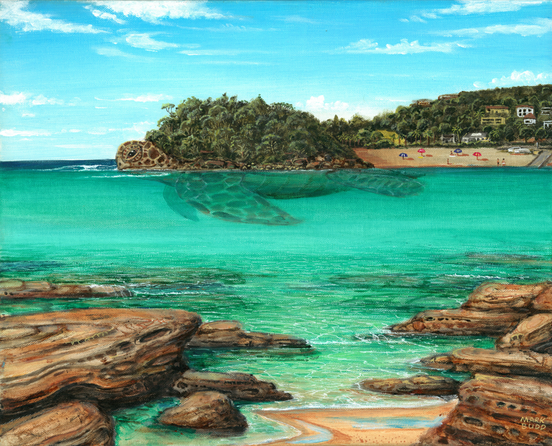 shelly-beach-turtle-hidden-shape-sea..png