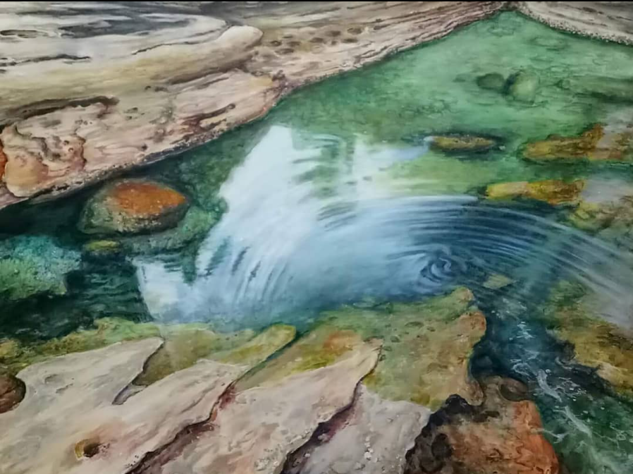 Close-up view of beach rocks, clear reflective water, smooth rocks, and algae, surrounded by wooden logs.