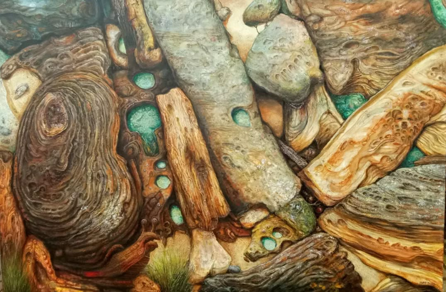 Close-up of various weathered and textured pieces of driftwood and rocks in a natural setting.