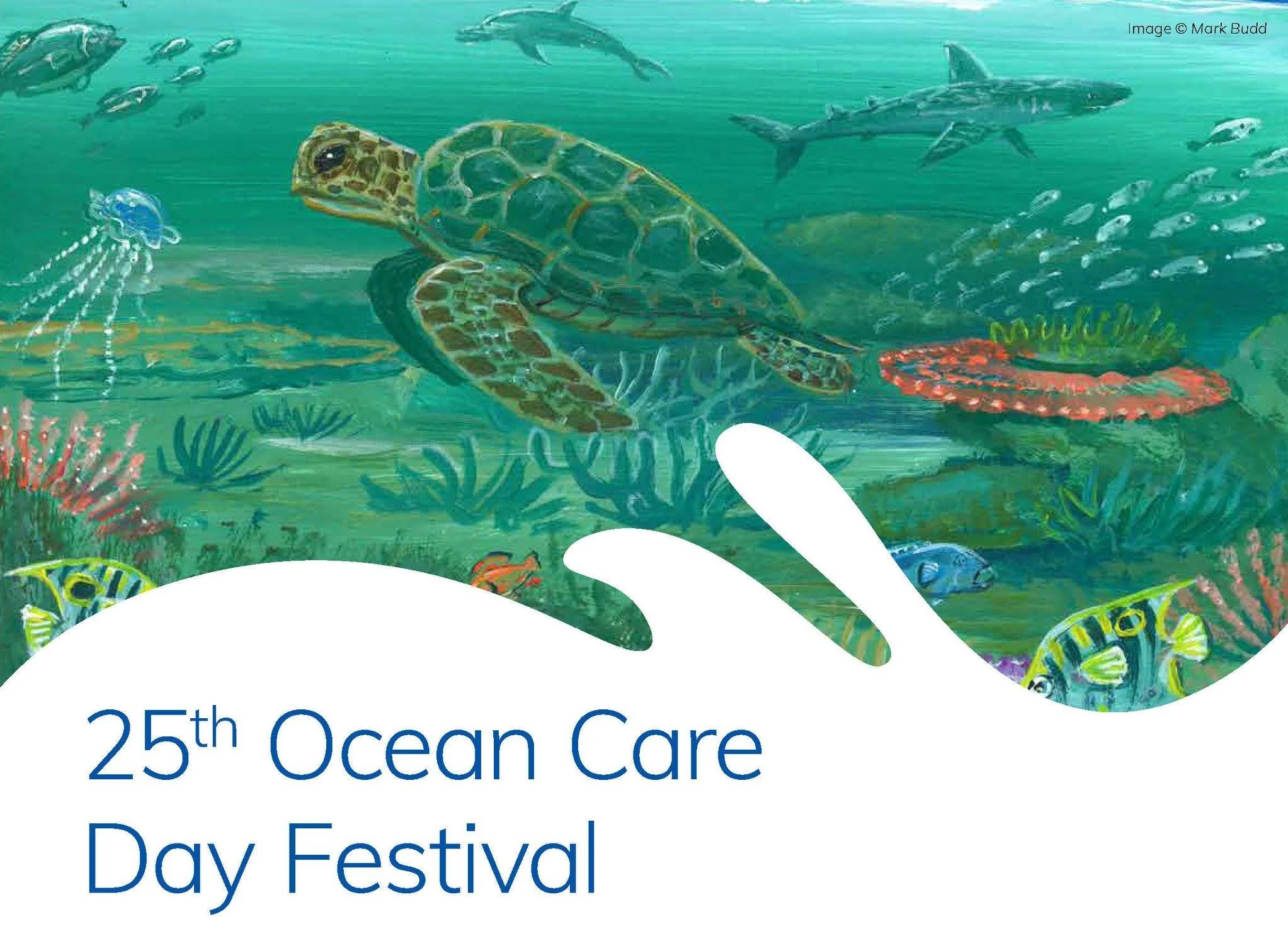 An underwater scene with a sea turtle, fish, jellyfish, coral, and sharks, promoting the 25th Ocean Care Day Festival.