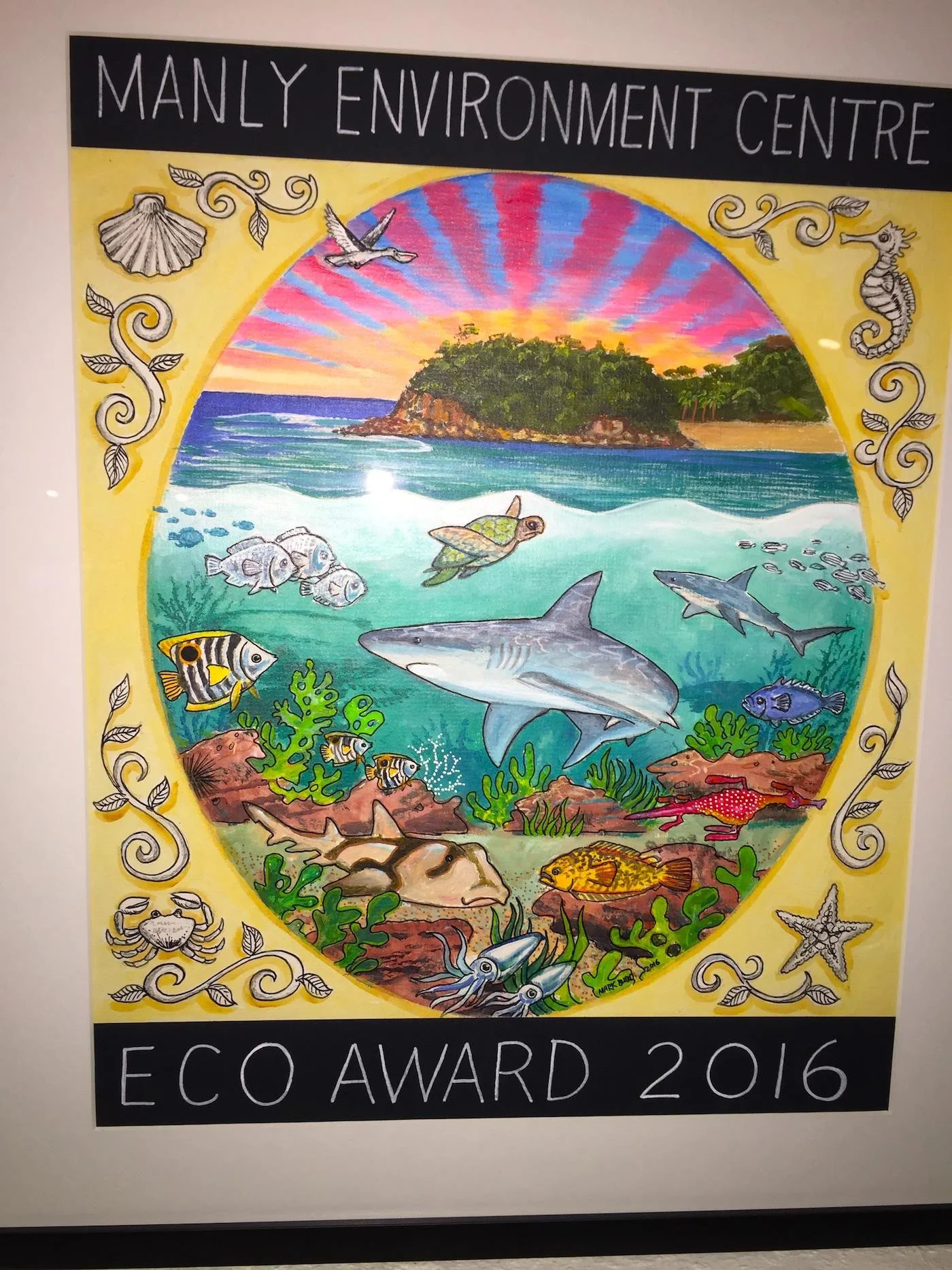 Colorful drawing of an underwater coral reef scene with various fish, a shark, a sea turtle, and other marine life, with a sunset over an island in the background, framed by decorative seashells, seahorse, starfish, and aquatic plants, and text indicating the Manly Environment Centre Eco Award 2016.
