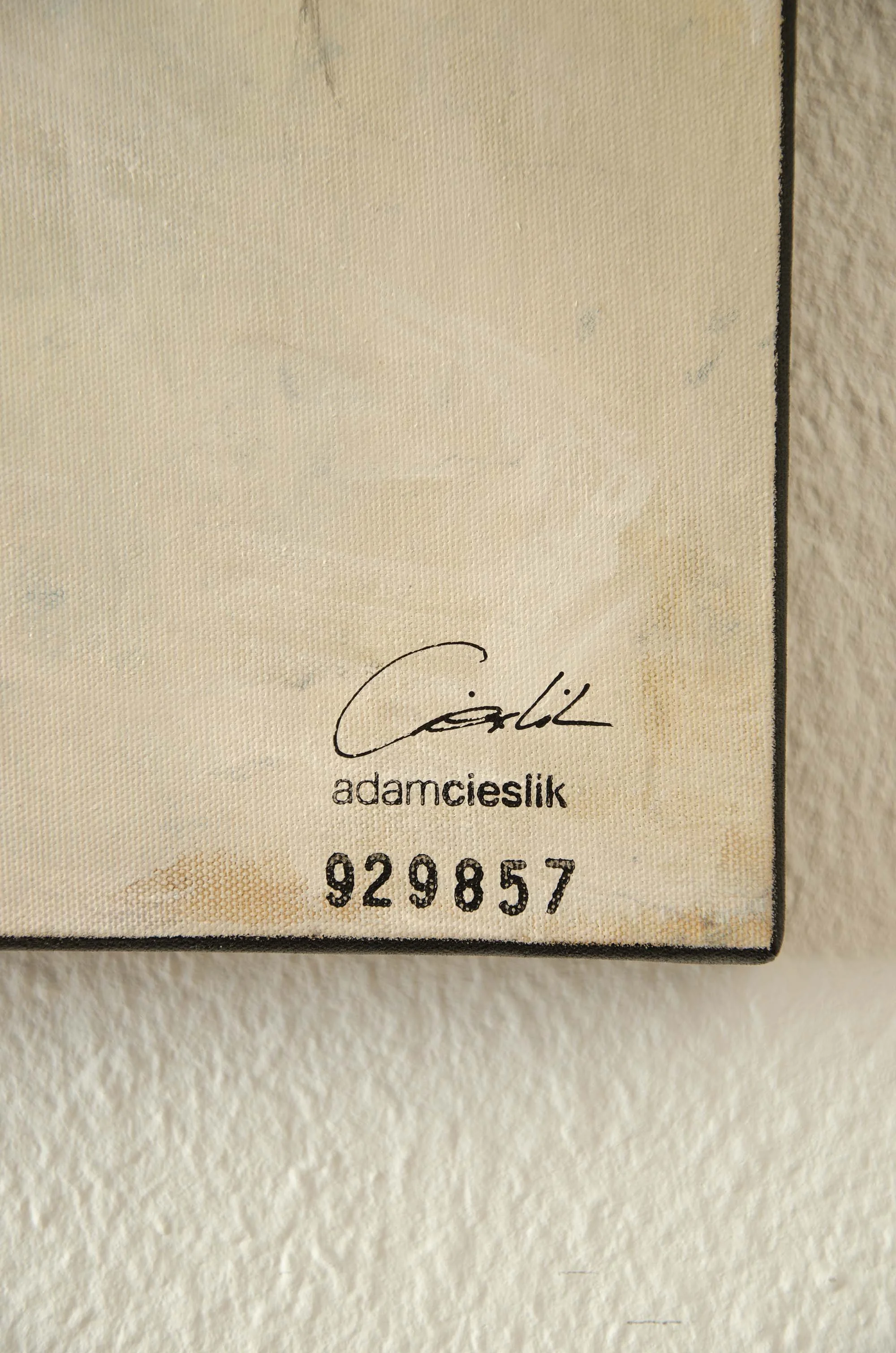 DSC_3695 Kopie.jpg