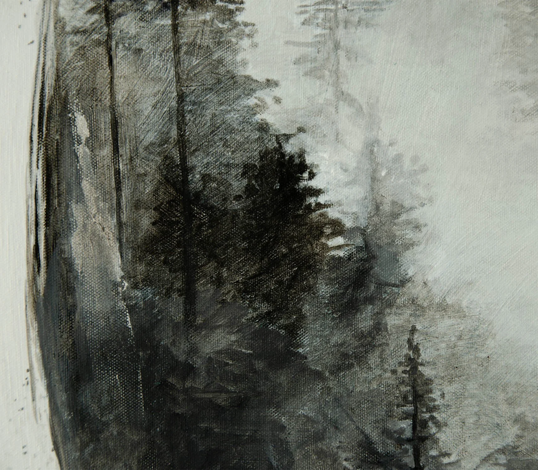 r65657g.jpg