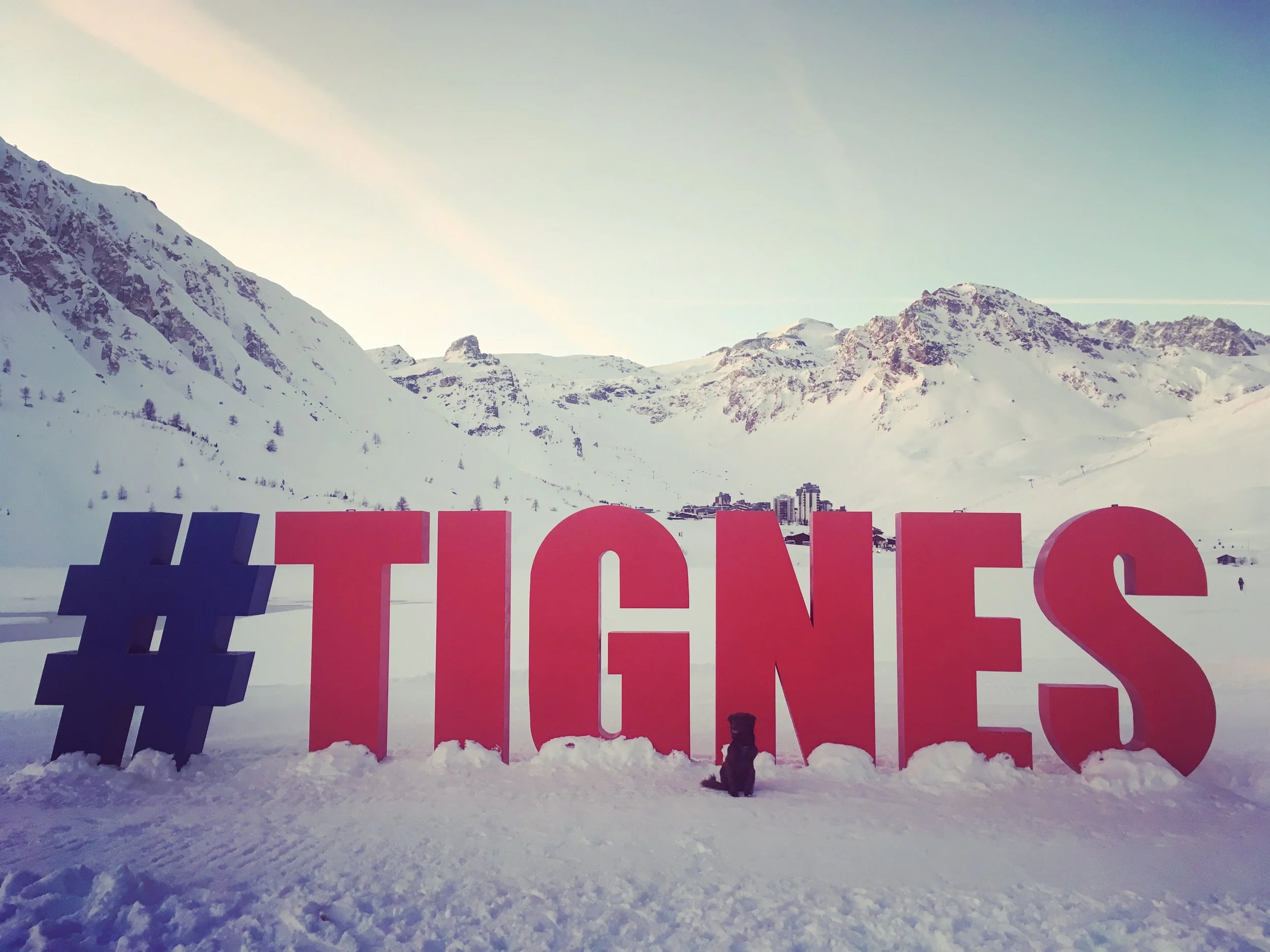 Large pink and purple hashtag sign with the word 'TIGER' in a snow-covered landscape with mountains in the background and a small dog sitting in front of the sign.