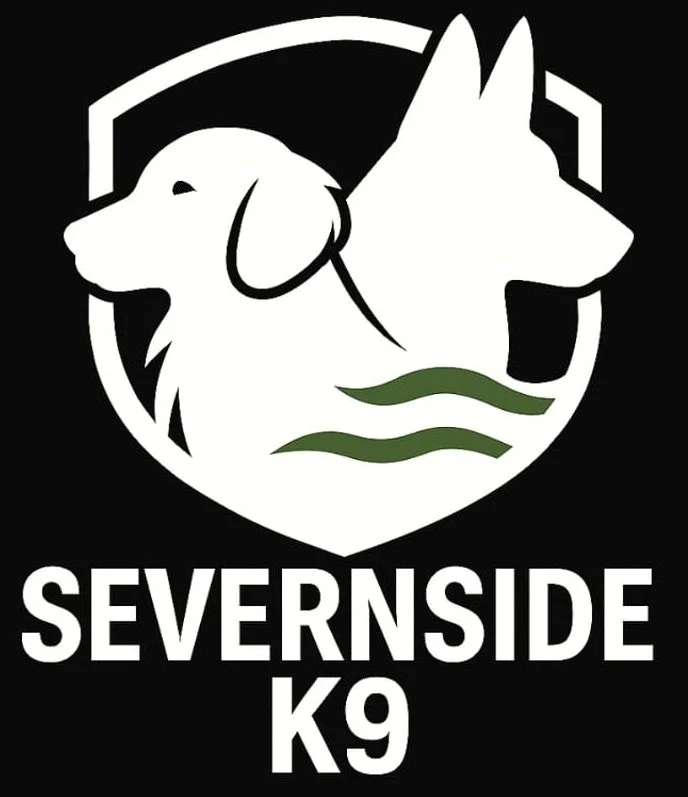 Severnside K9