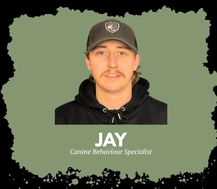 Portrait of Jay, Canine Behaviour Specialist, wearing a gray cap and black hoodie, against a green background with black paint splatter borders.