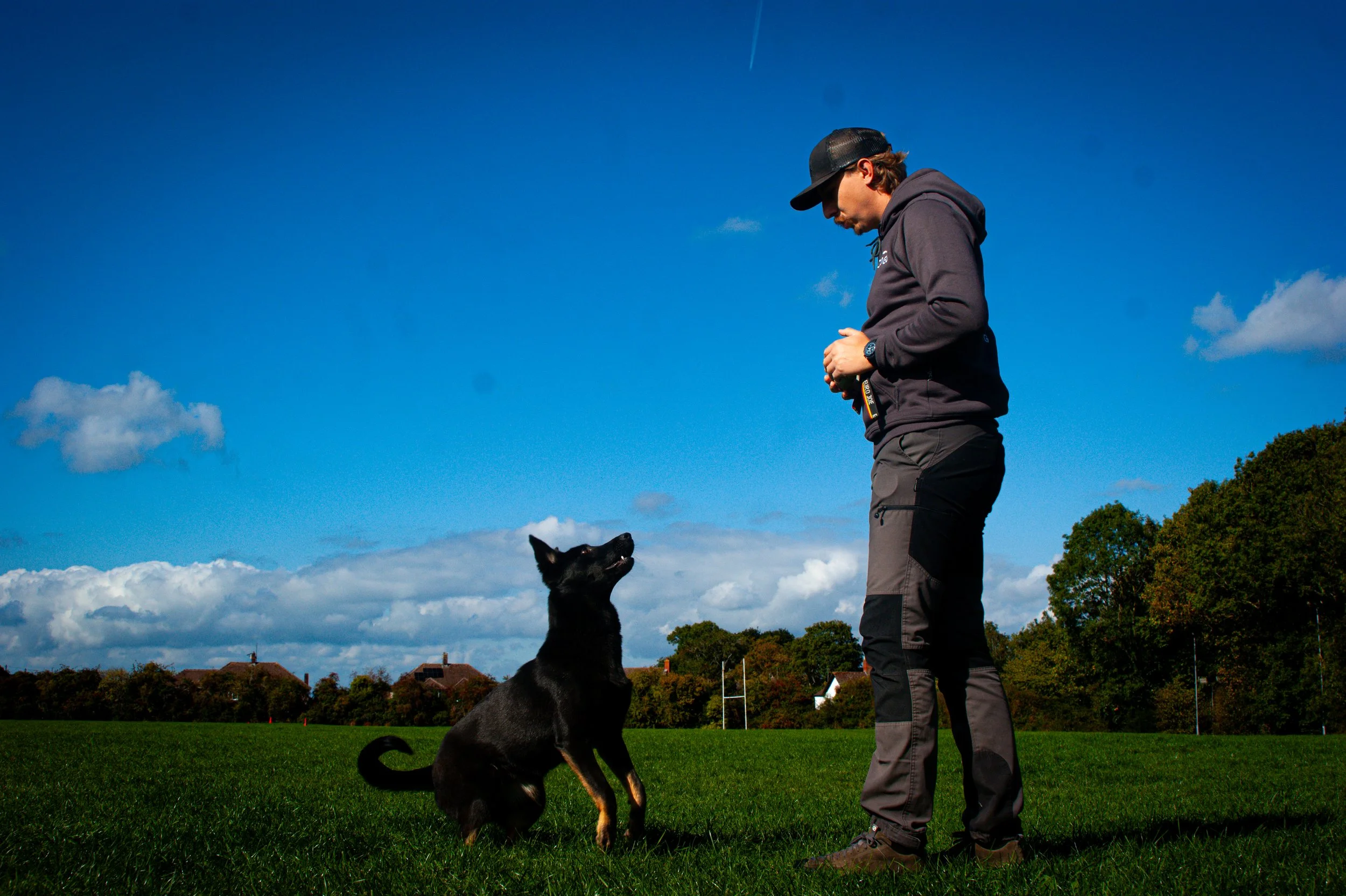 Severnside K9 Gloucestershires working breed and high energy specialist dog trainer