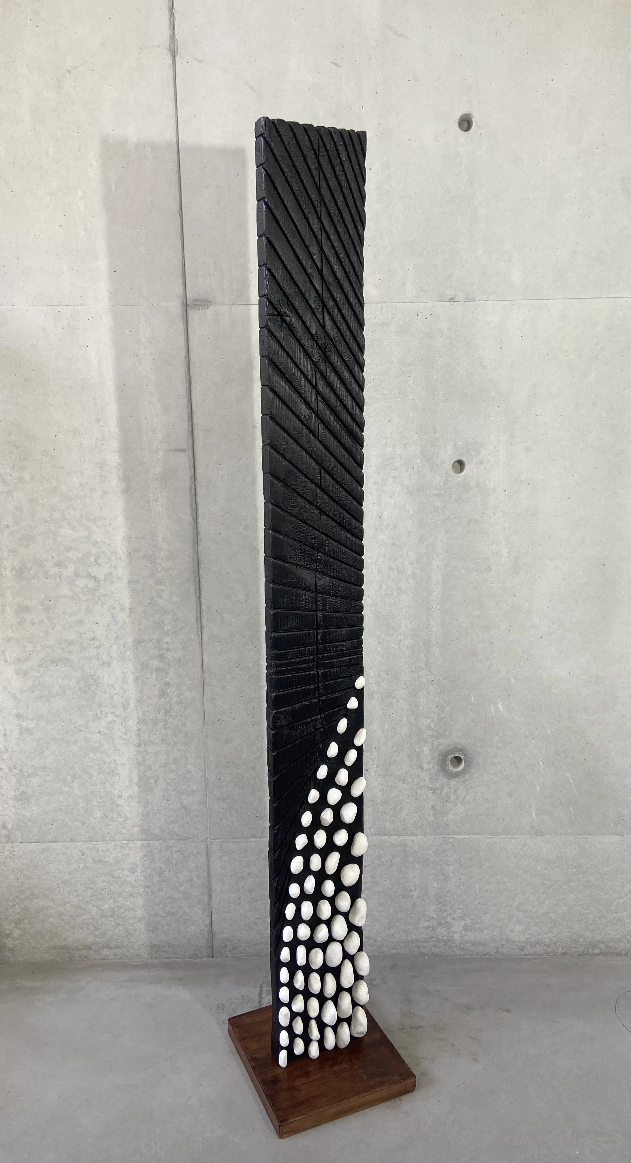 NOIR ET BLANC - 2024