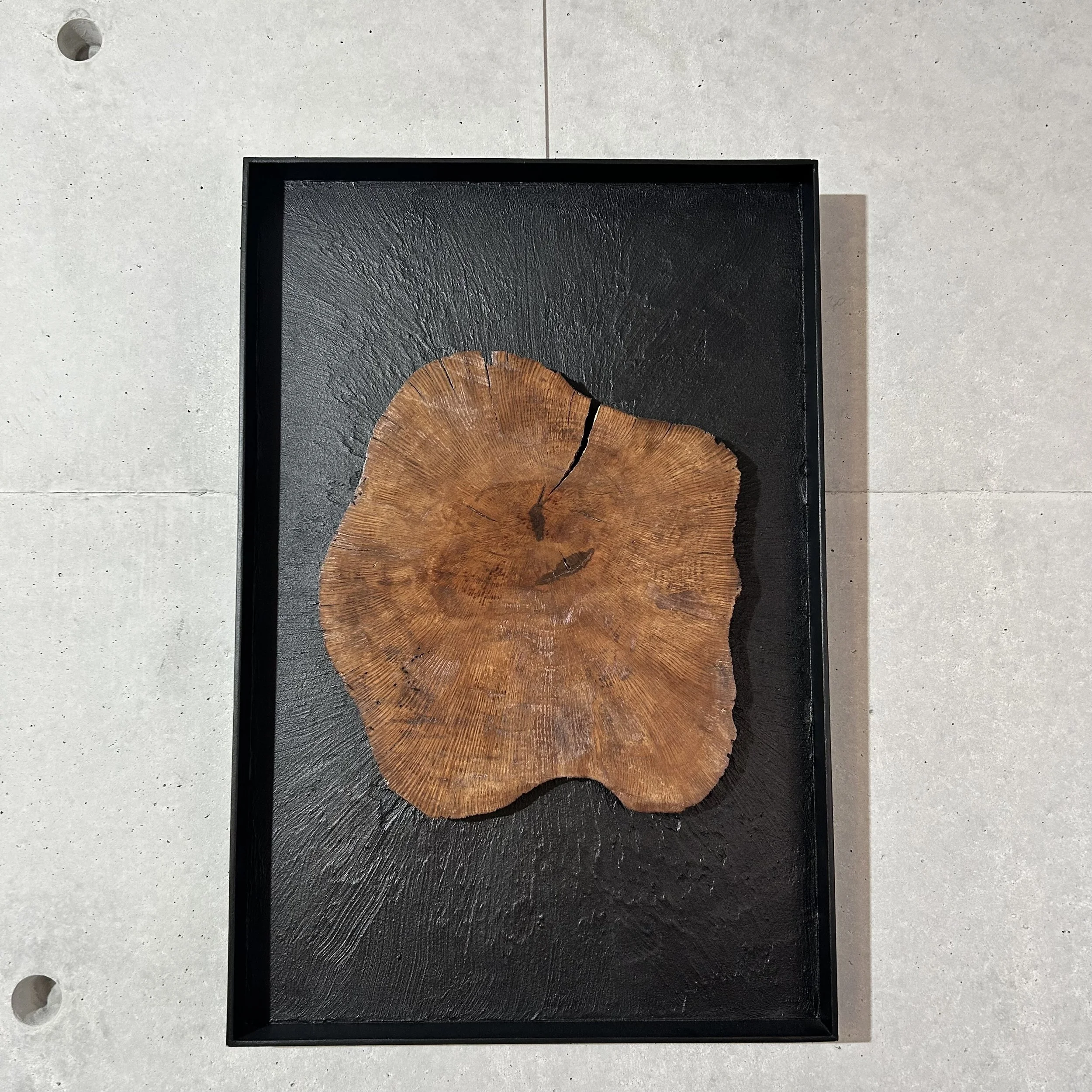 LES ANNEAUX DU TEMPS - 2025