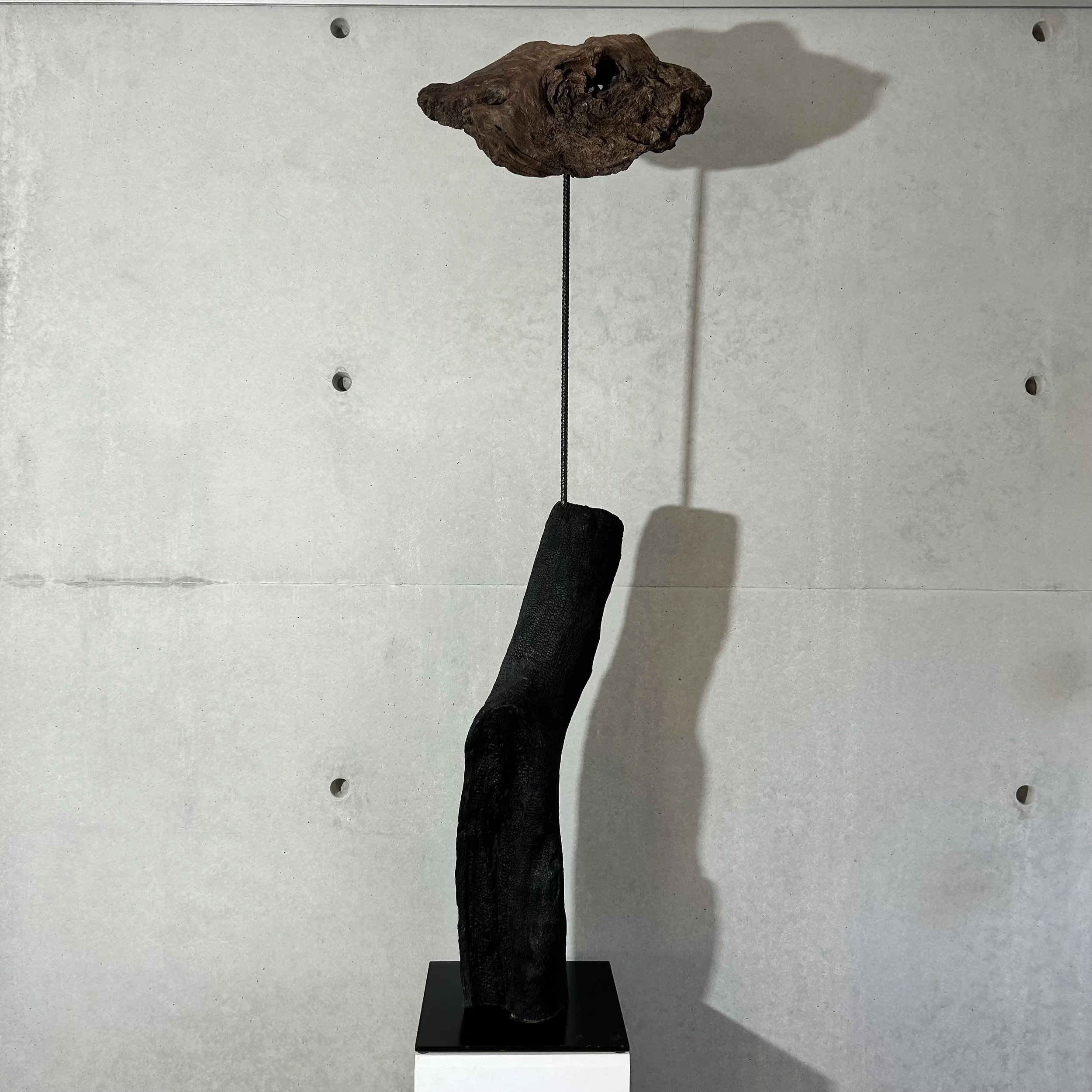 CRANE DE CHAMEAU - 2024