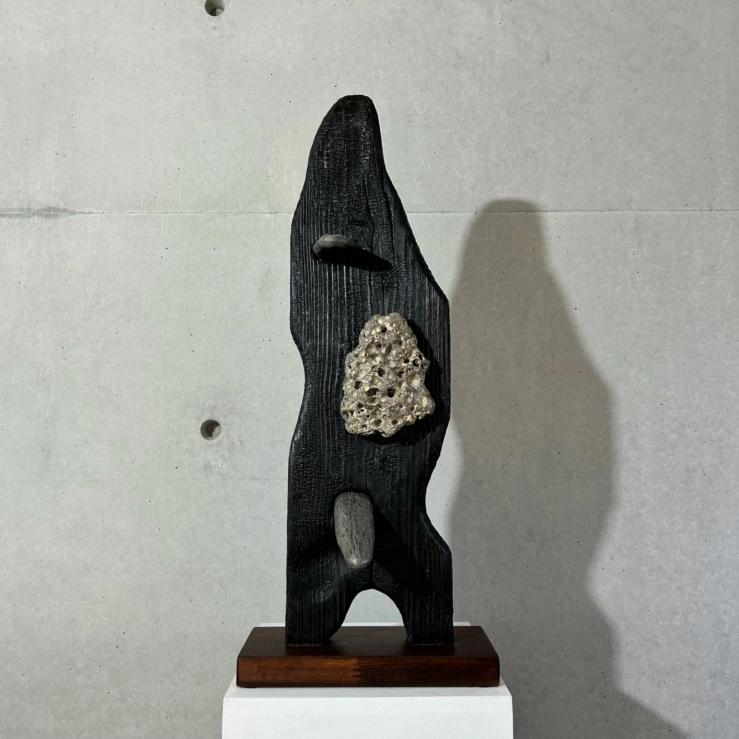 PYGMÉ AU GRAND CŒUR - 2024