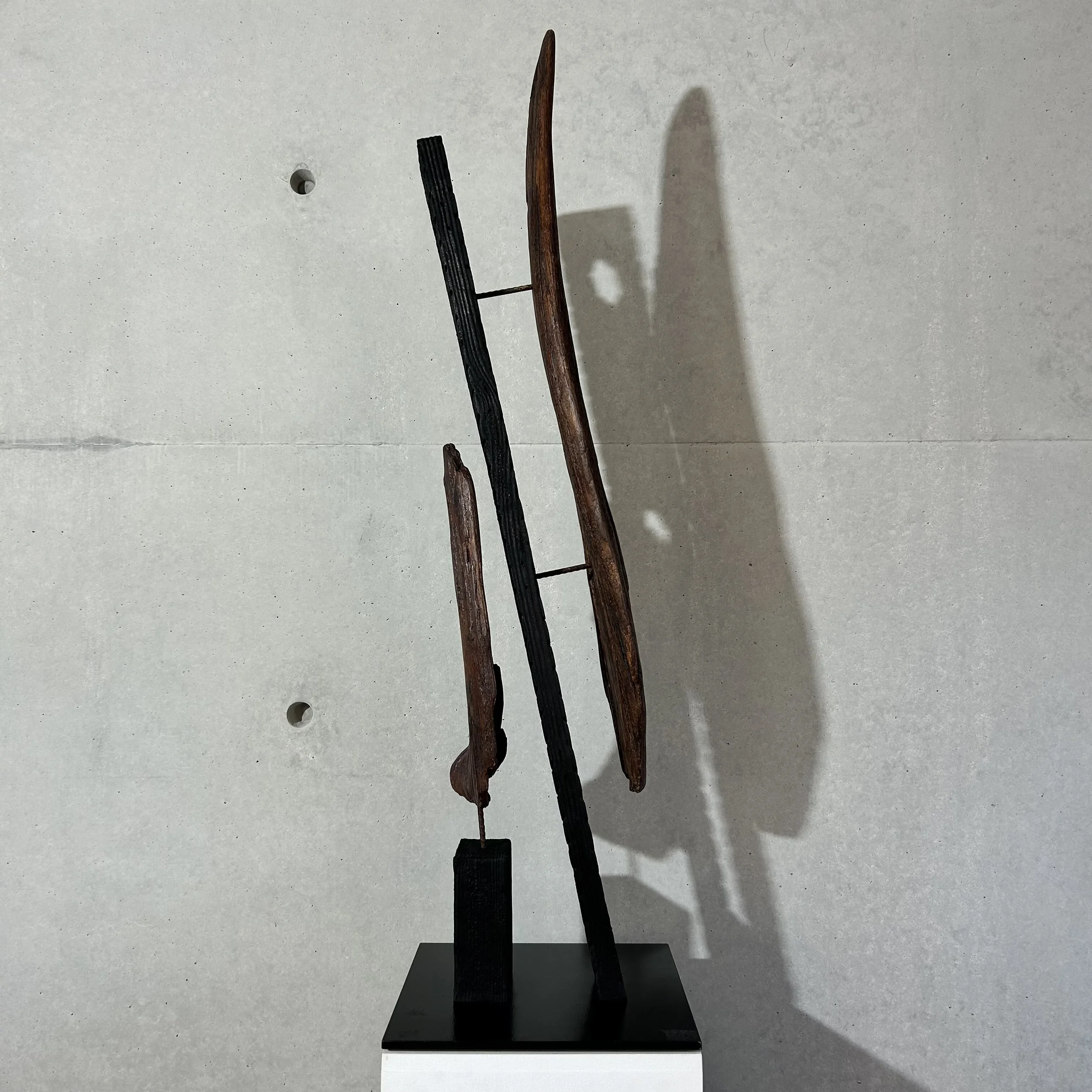 TERRE ET MER 2 - 2024