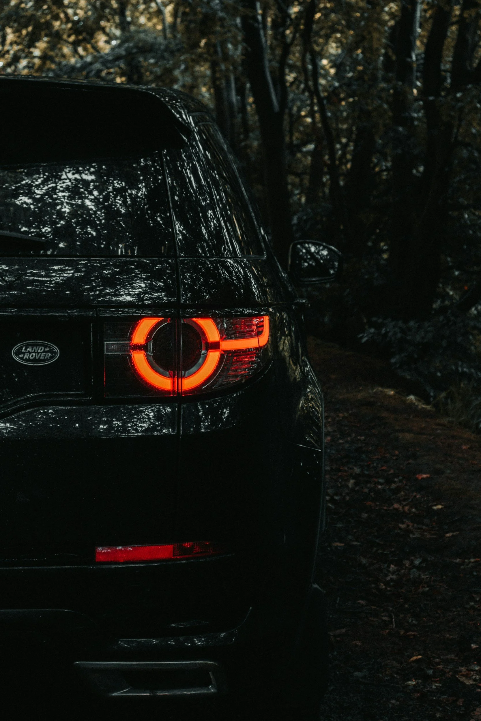 unsplash-image-QfXqBiRXC9w.jpg