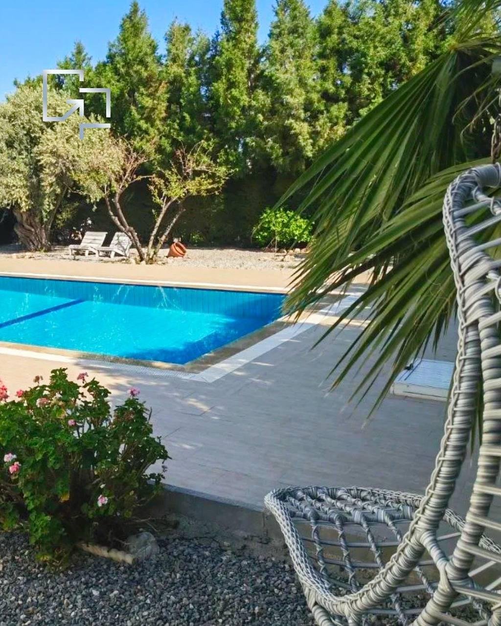 Ein Swimmingpool im Garten mit Sonnenliegen, umgeben von Bäumen und Pflanzen, an einem sonnigen Tag.