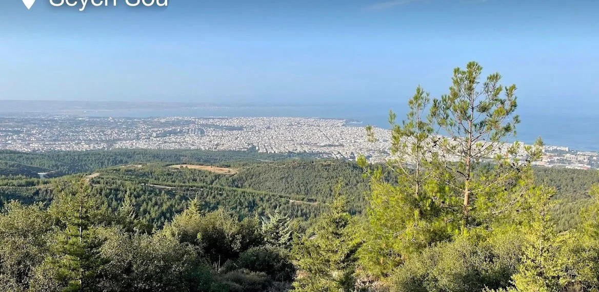 Blick über eine bewaldete Hügellandschaft auf eine Stadt am Meer bei sonnigem Wetter.