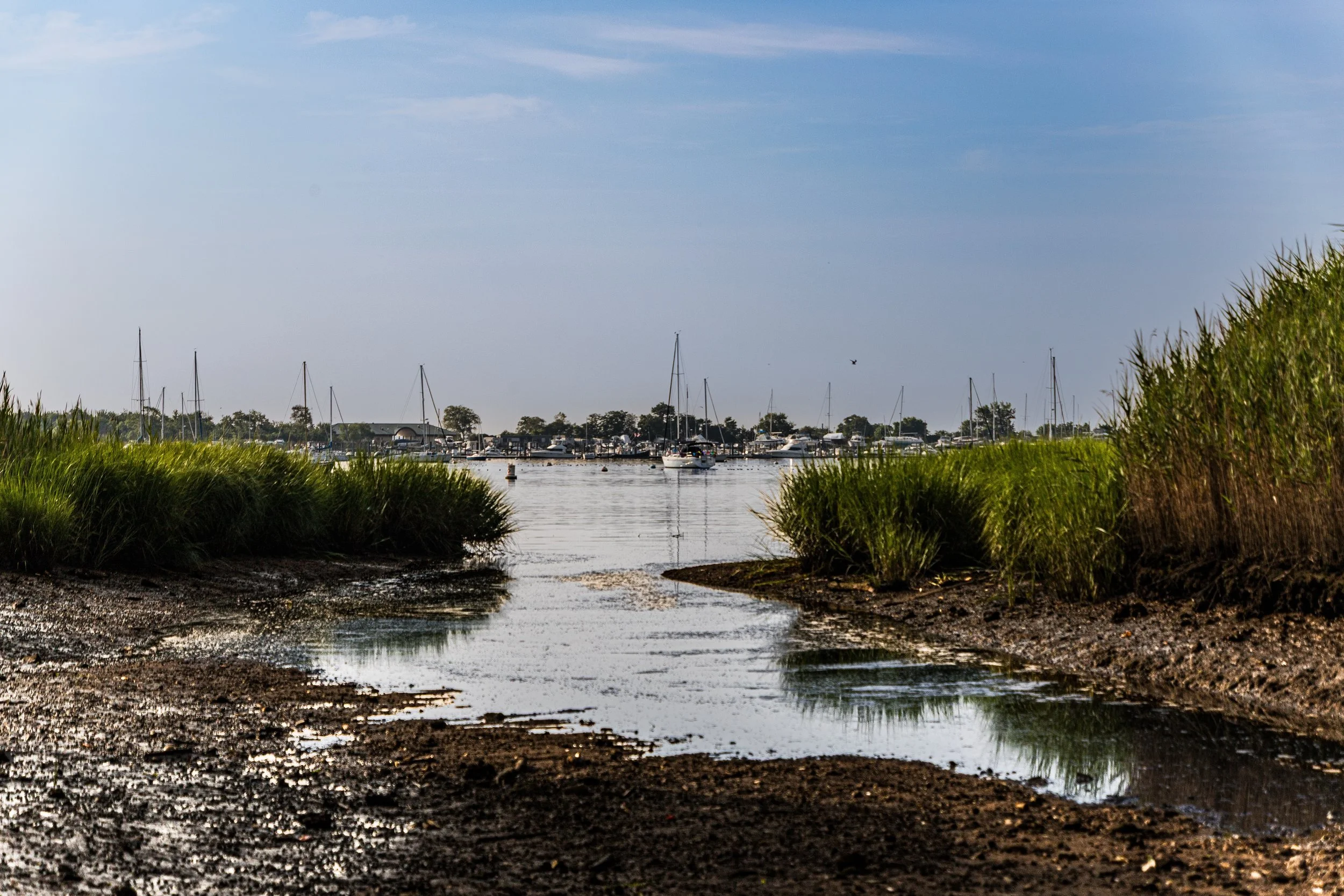 View of a marina with numerous sailboats and yachts docked, viewed through a muddy shoreline with tall grasses on either side under a partly cloudy sky.