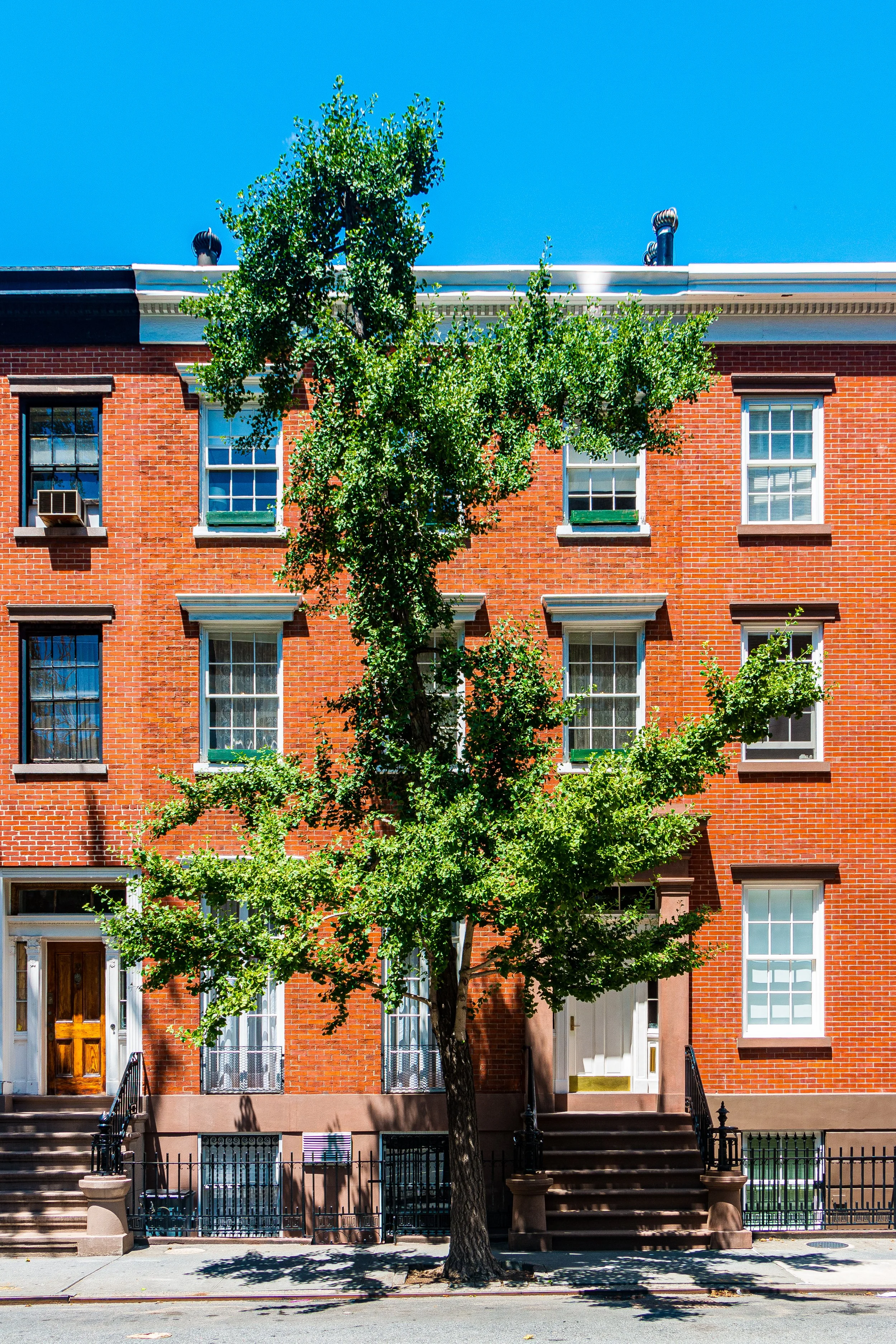A brick apartment building with a tree in front, blue sky overhead, and steps leading to entrances.