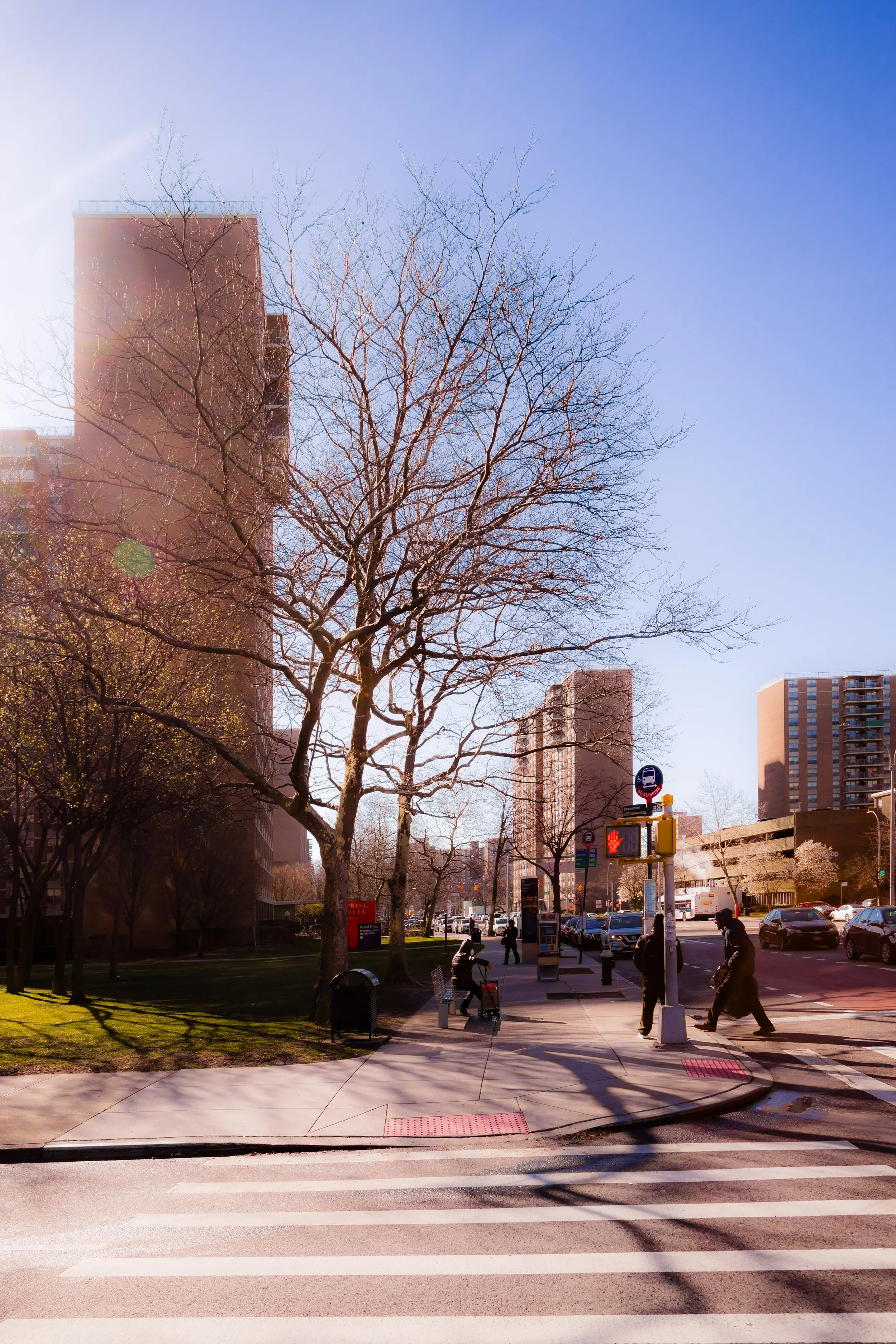 Urban street scene with a crosswalk, pedestrians, leafless trees, tall apartment buildings, and a sunny sky.