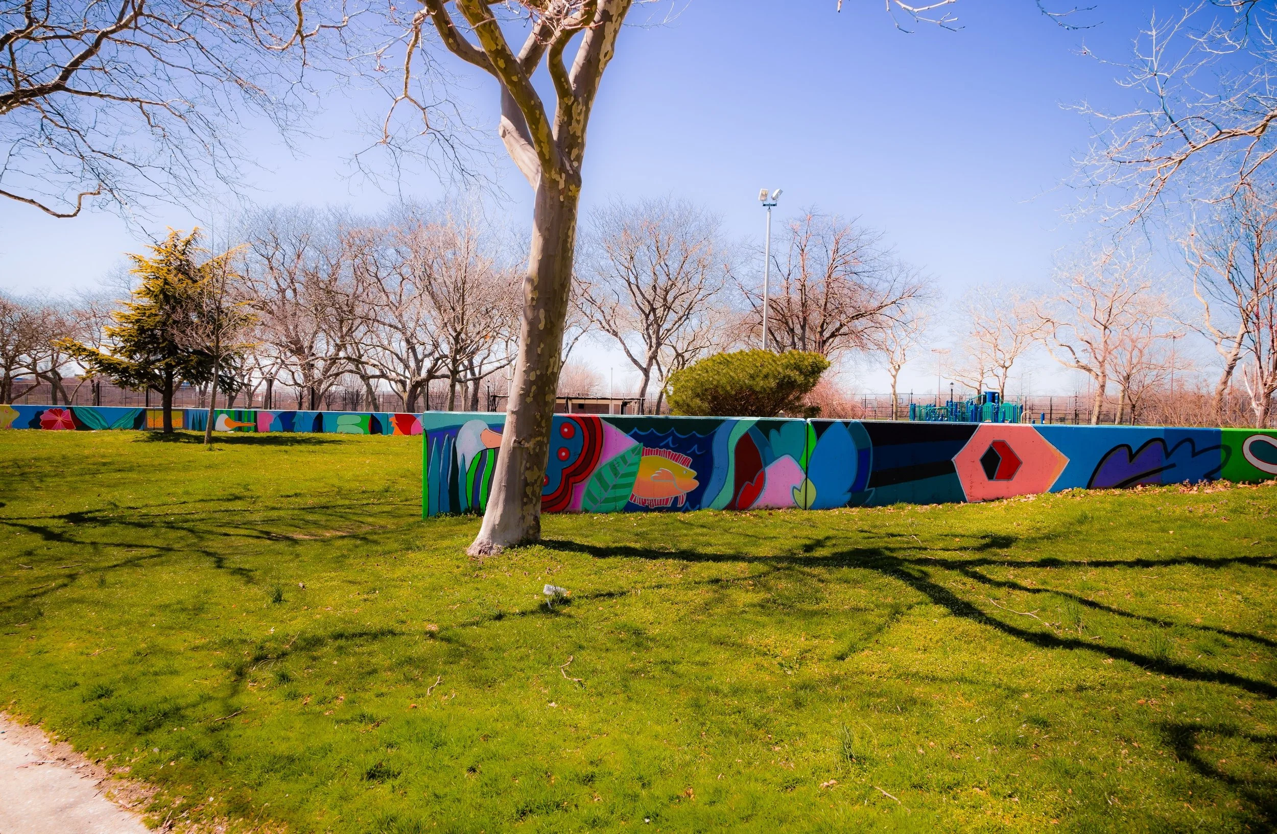A park with a large concrete wall painted with colorful graffiti art, green grass, leafless trees, and a clear blue sky.