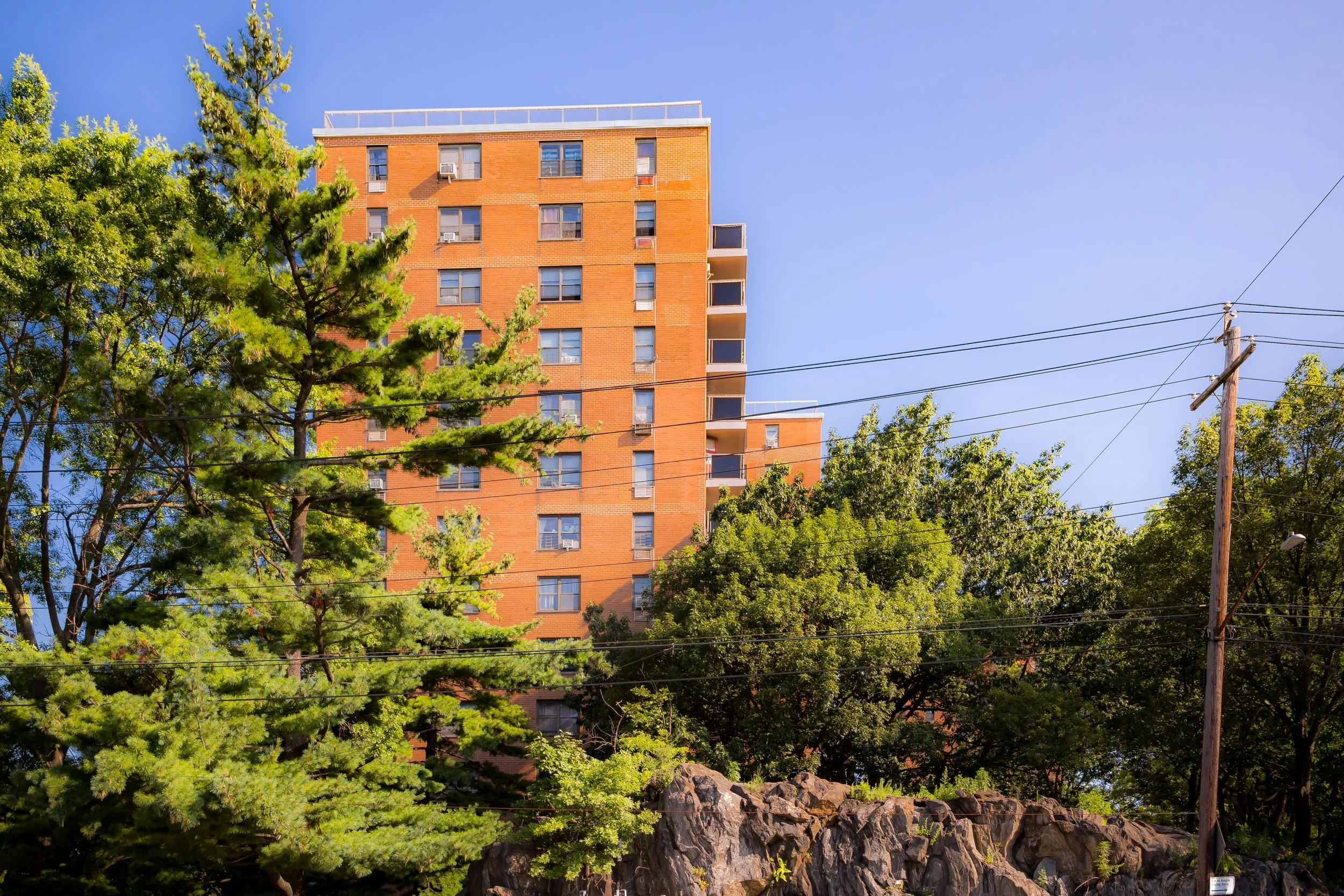 A tall brick apartment building partially obscured by green trees and shrubs, with a blue sky in the background.