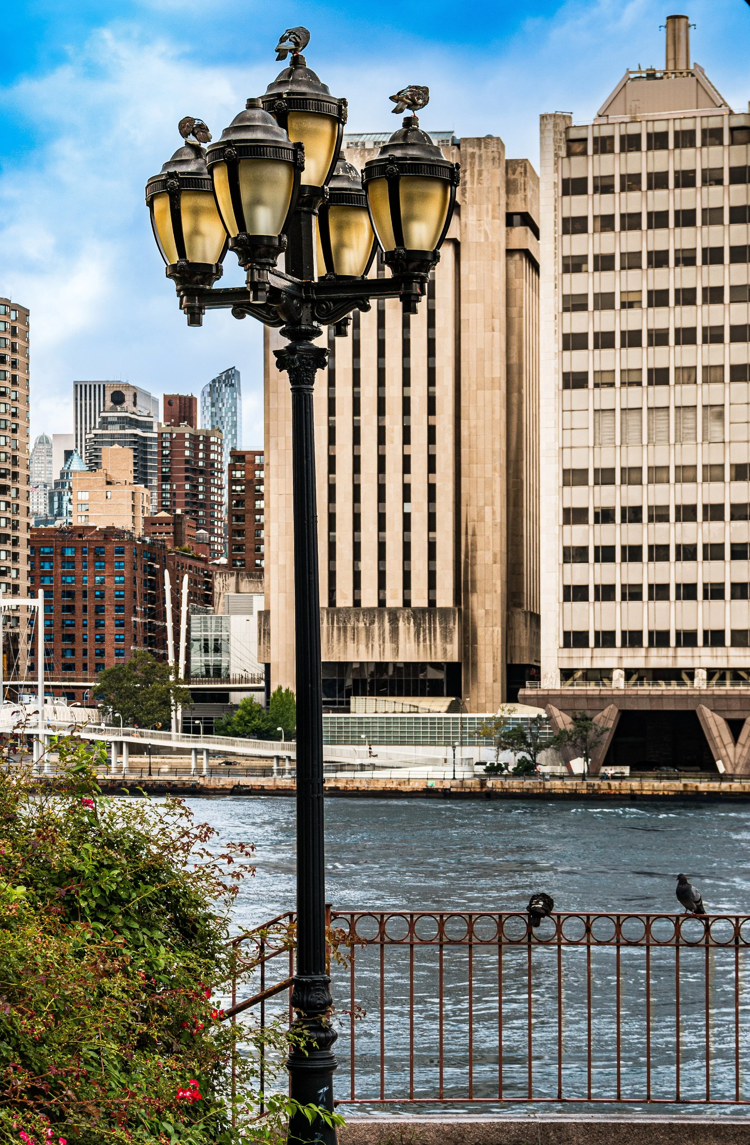Historic street lamp with multiple solar-powered lights and decorative birds on top, overlooking a river with surrounding city skyscrapers.