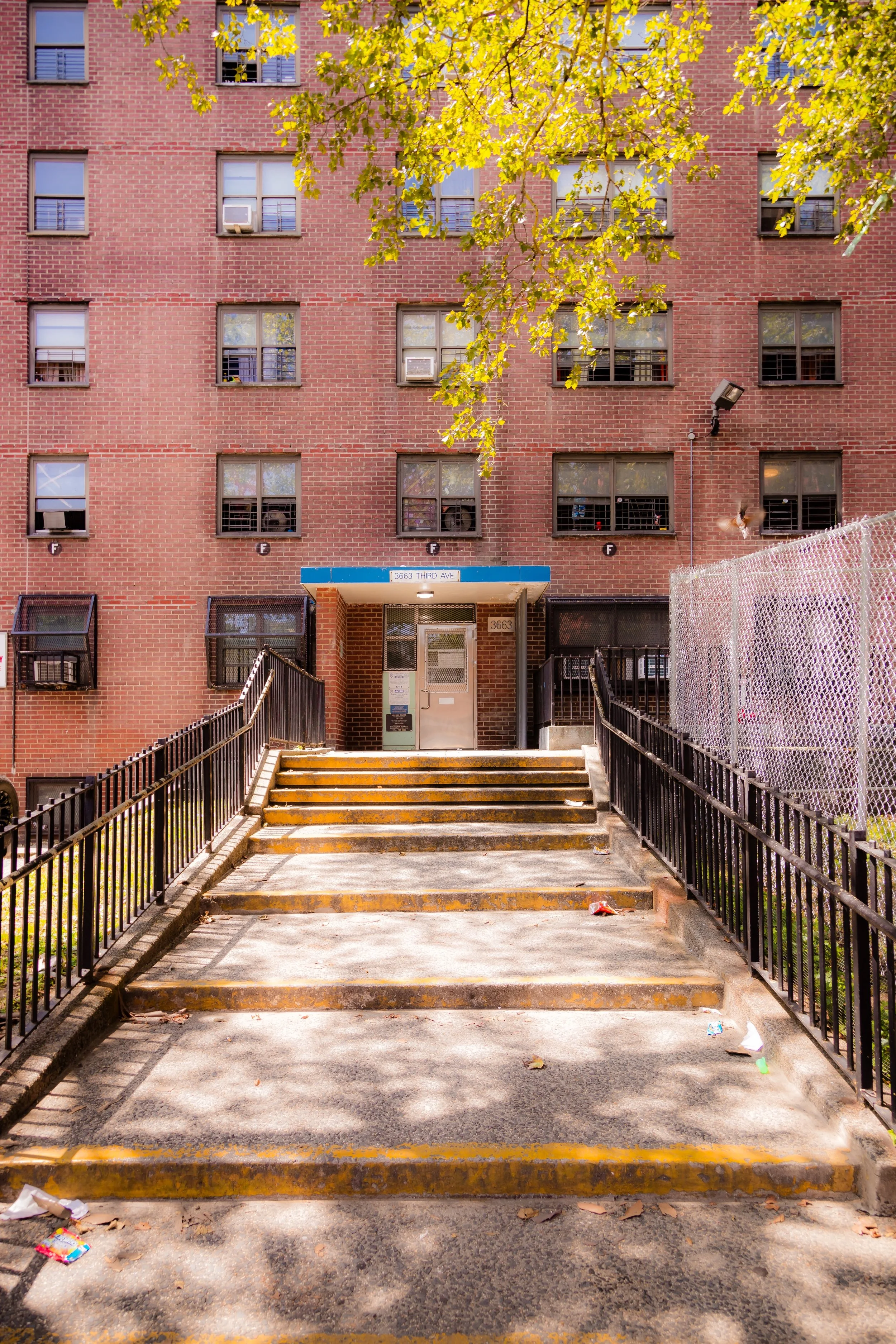 The entrance to a red brick apartment building with stairs leading up to a door, surrounded by trees with yellow leaves, and black railings on either side of the stairs.