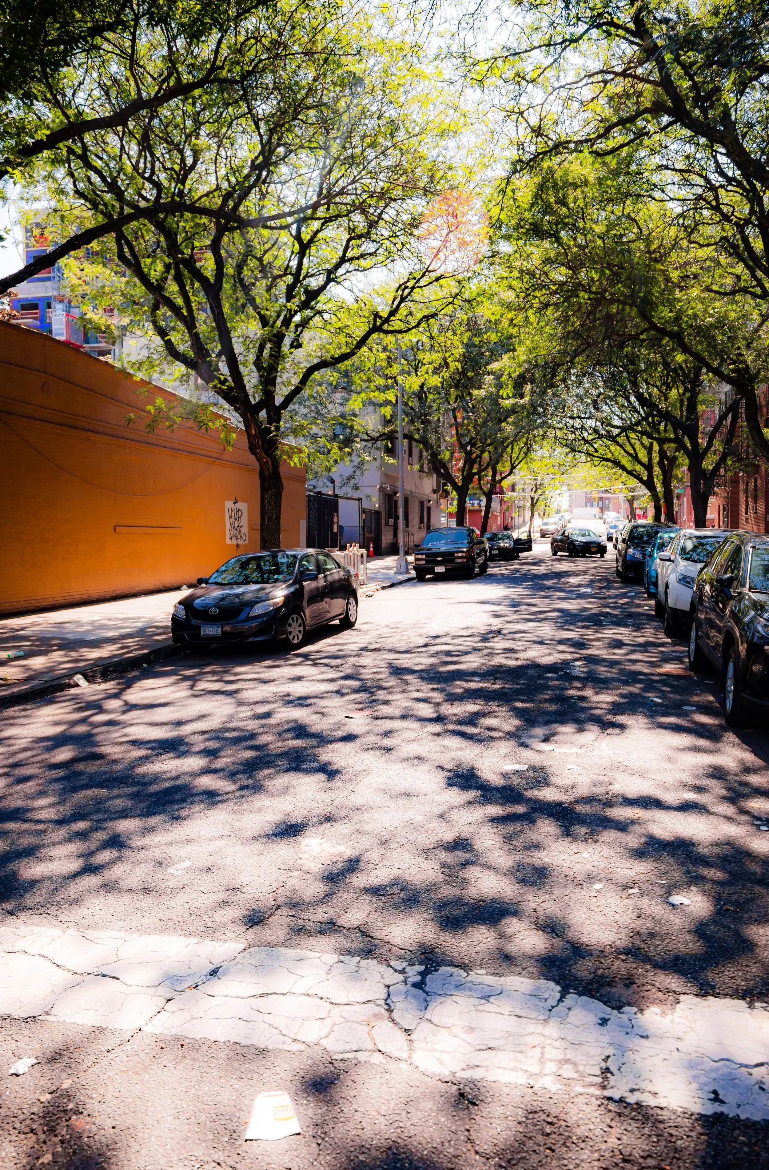 A city street lined with parked cars on both sides, with trees casting shadows on the pavement, and buildings in the background.