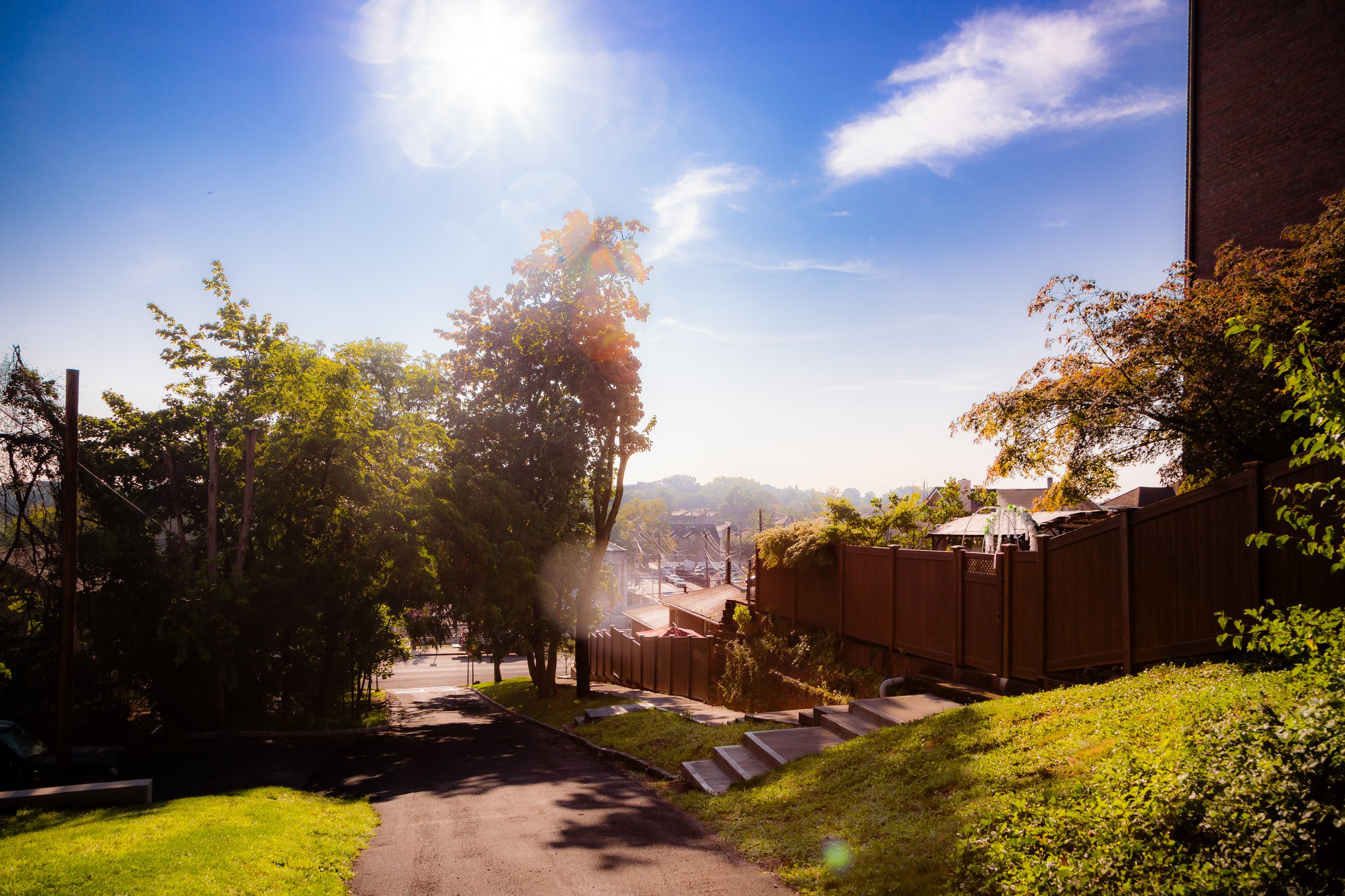 A sunny residential street scene with trees, a sidewalk, and a wooden fence. The bright sunlight creates lens flare and shadows.