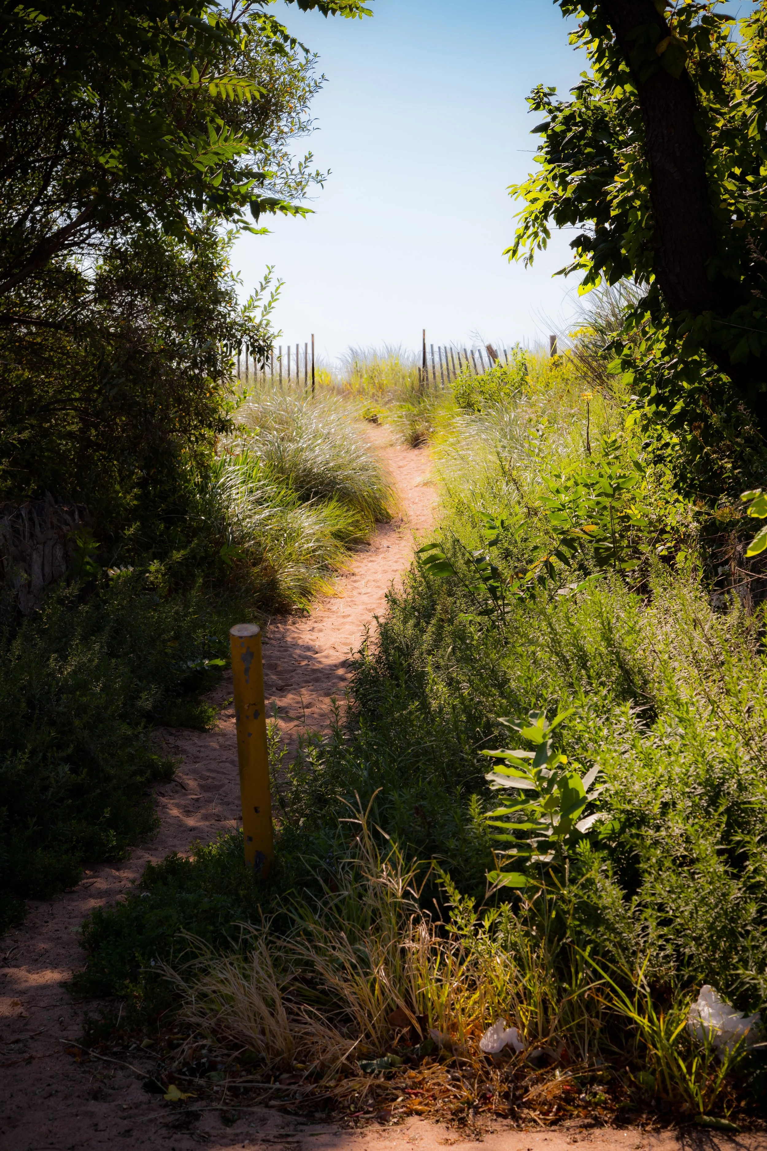 A narrow sandy footpath leading through a green, grassy area with bushes and trees, with a weathered yellow post in the foreground and a wooden fence at the top of a small hill in the background.