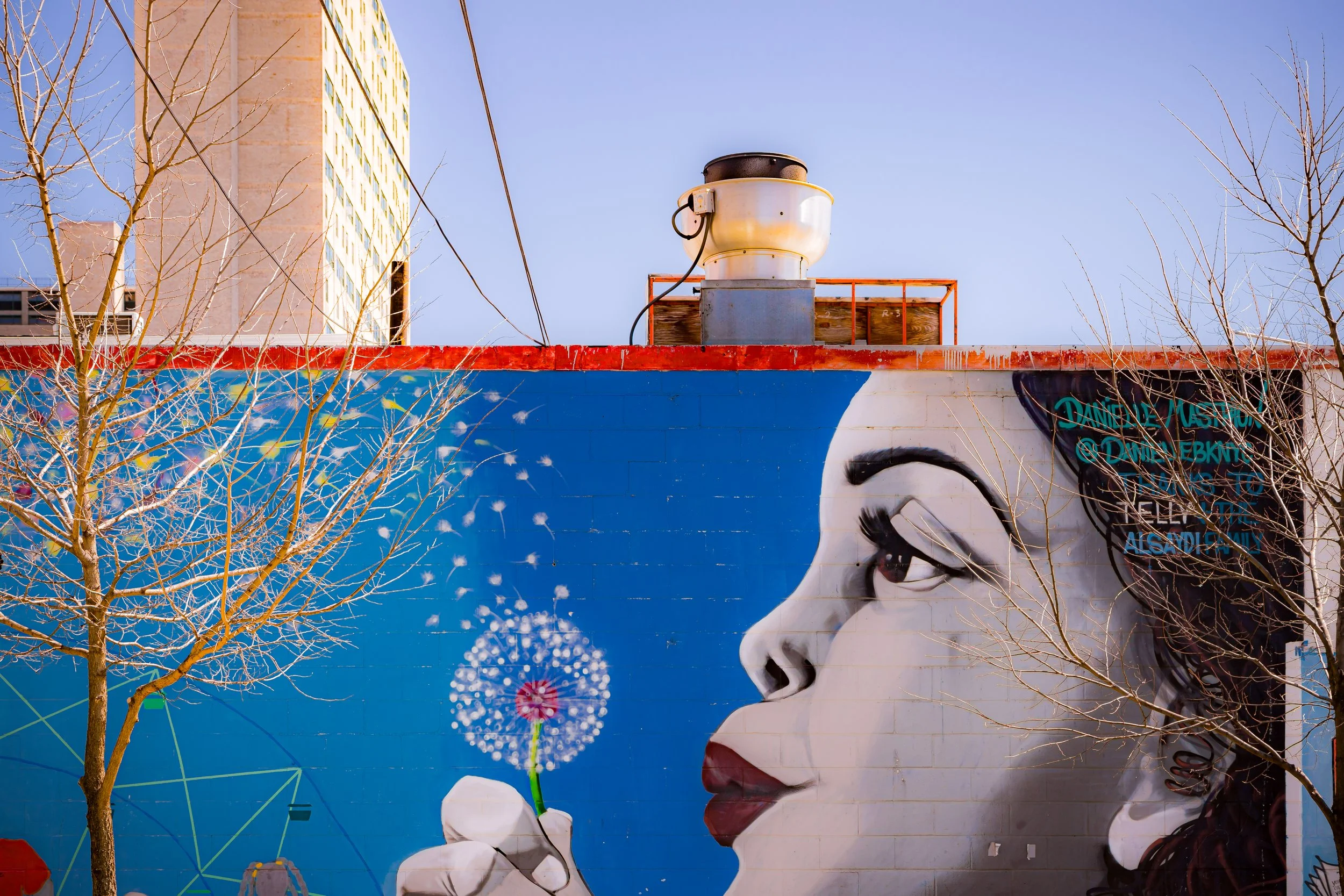 Street art mural of a woman holding a dandelion, blowing its seeds, with a cityscape in the background.