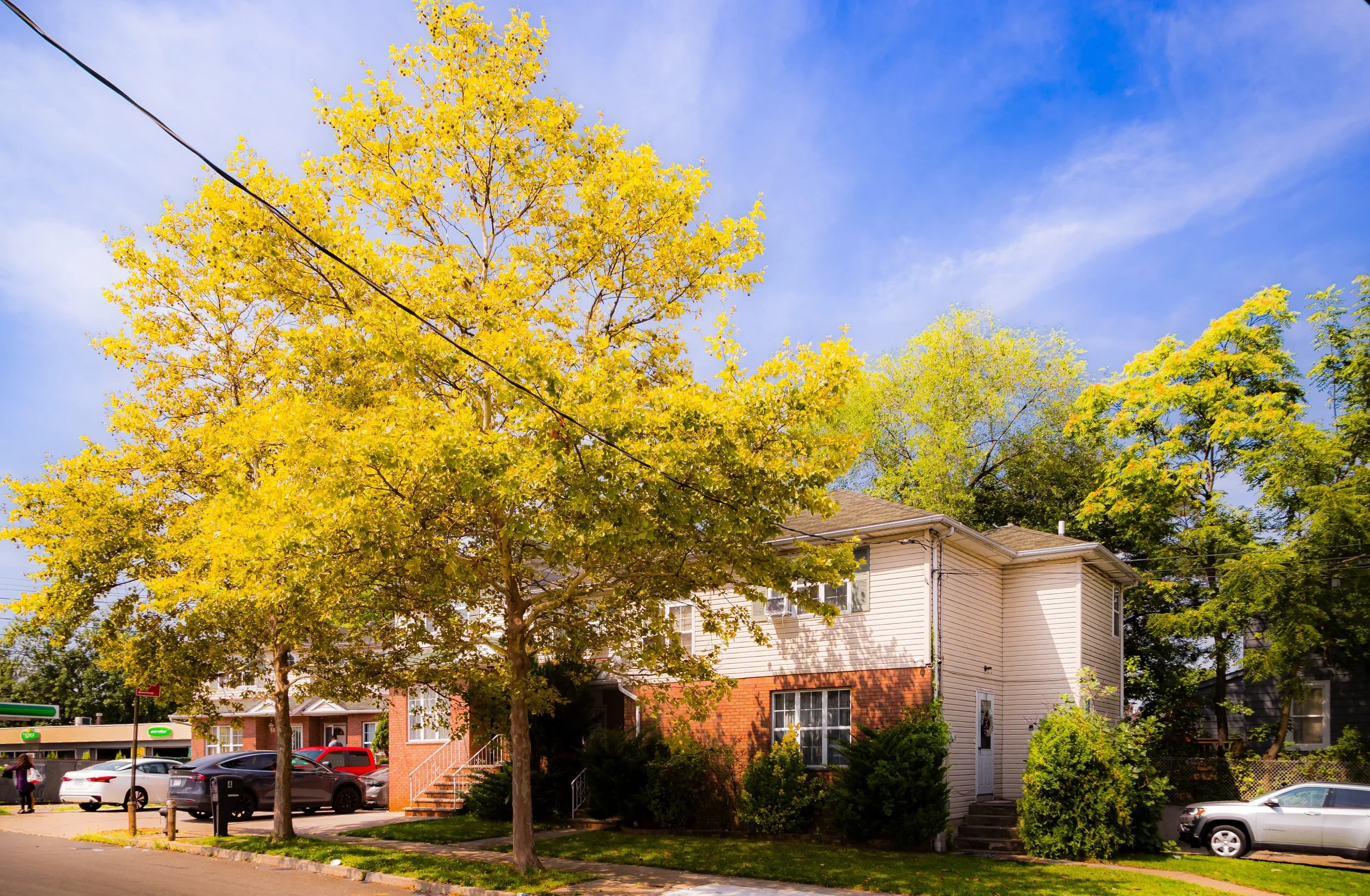 A residential street scene with a two-story house featuring white and red brick exterior, surrounded by green trees with yellow and green leaves, parked cars, and a person walking.