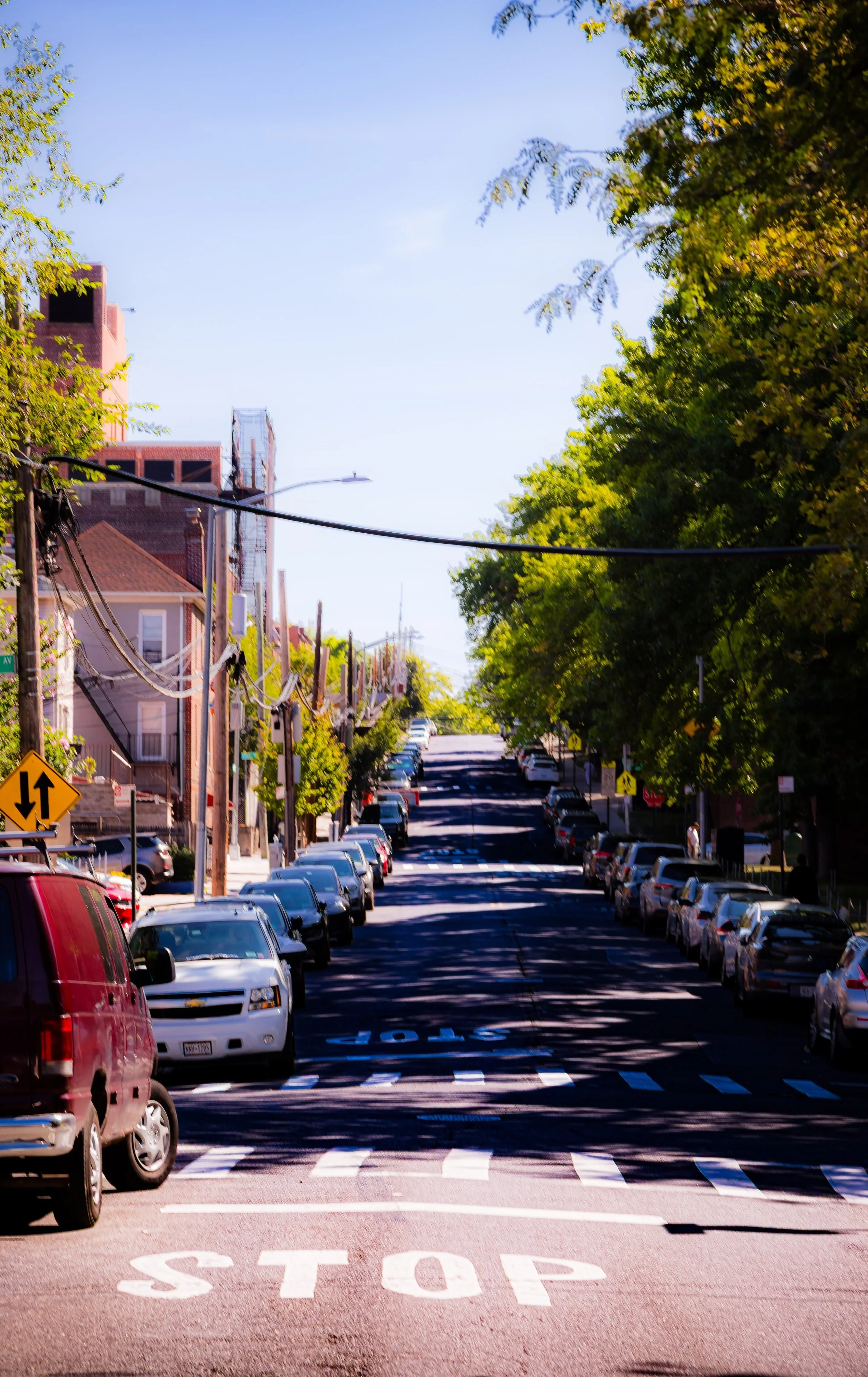 A city street with parked cars on both sides, a stop sign painted on the road, and green trees lining the sidewalk under a clear blue sky.