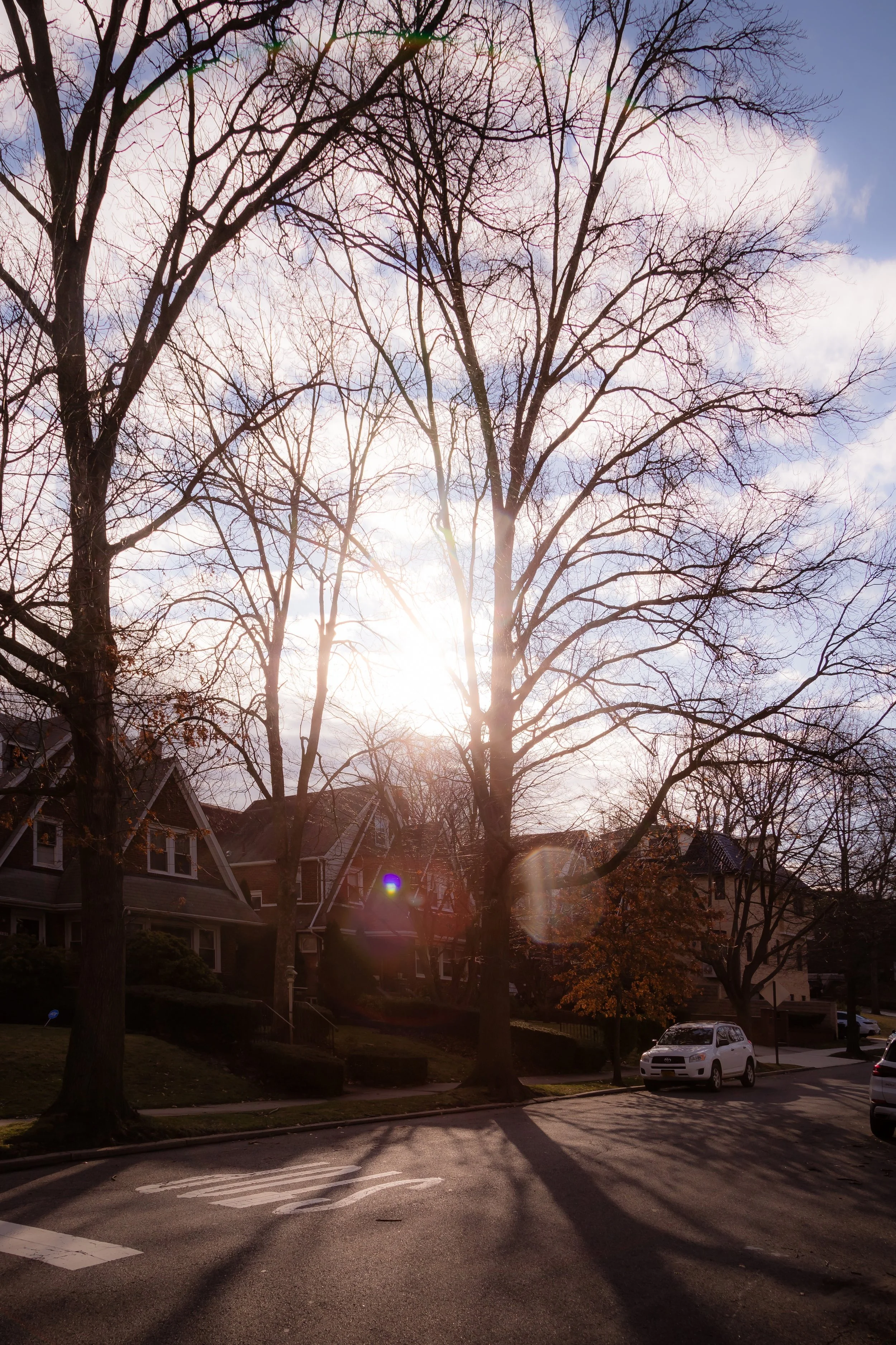 A residential street scene with tall leafless trees, houses in the background, and a white car parked on the side. The sun is shining through the trees, creating lens flare and long shadows on the road.