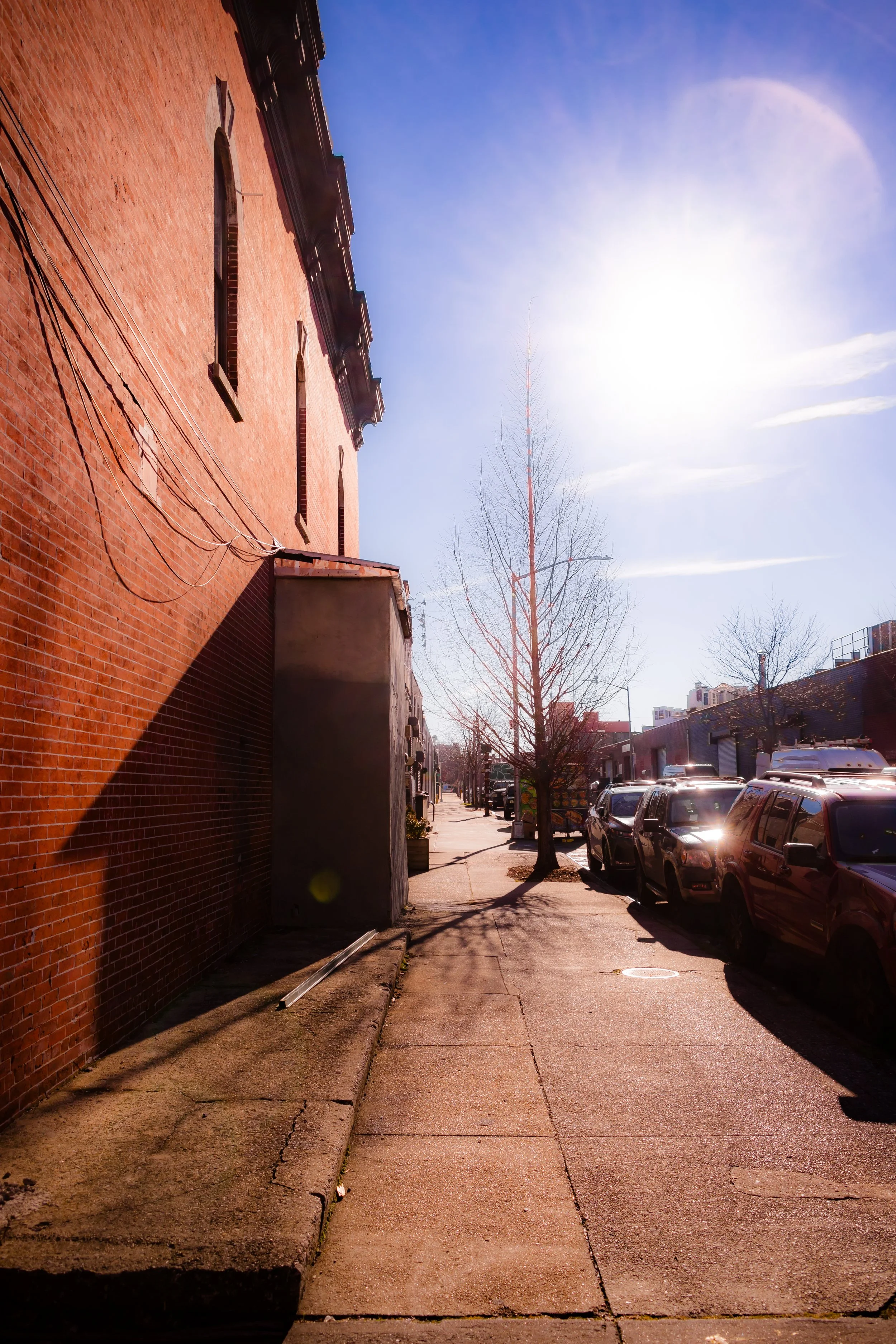 City sidewalk with a row of parked cars, a leafless tree, and a brick building under a bright, sunny sky.