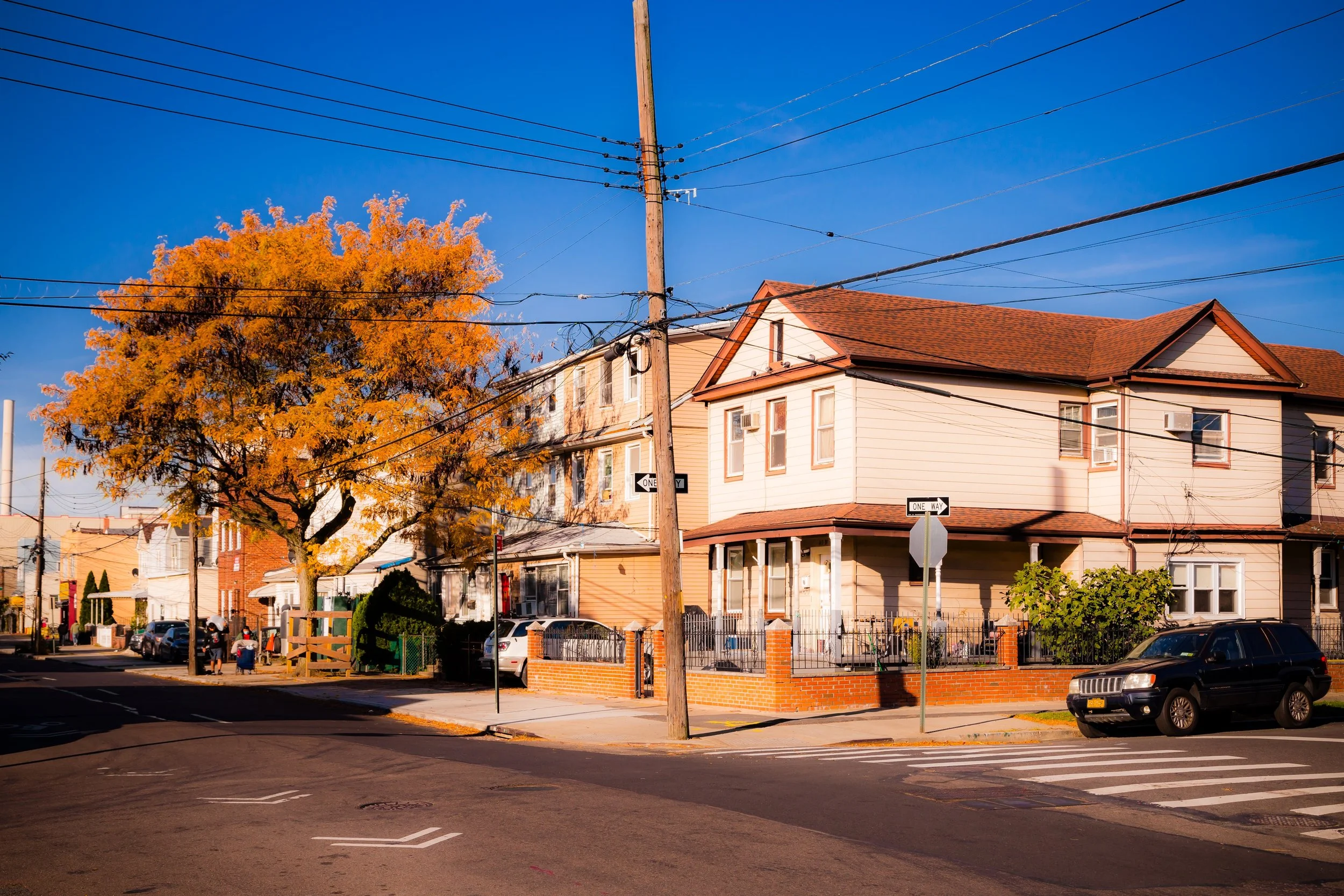 A neighborhood street scene with houses, cars, a large orange tree, and power lines under a clear blue sky.