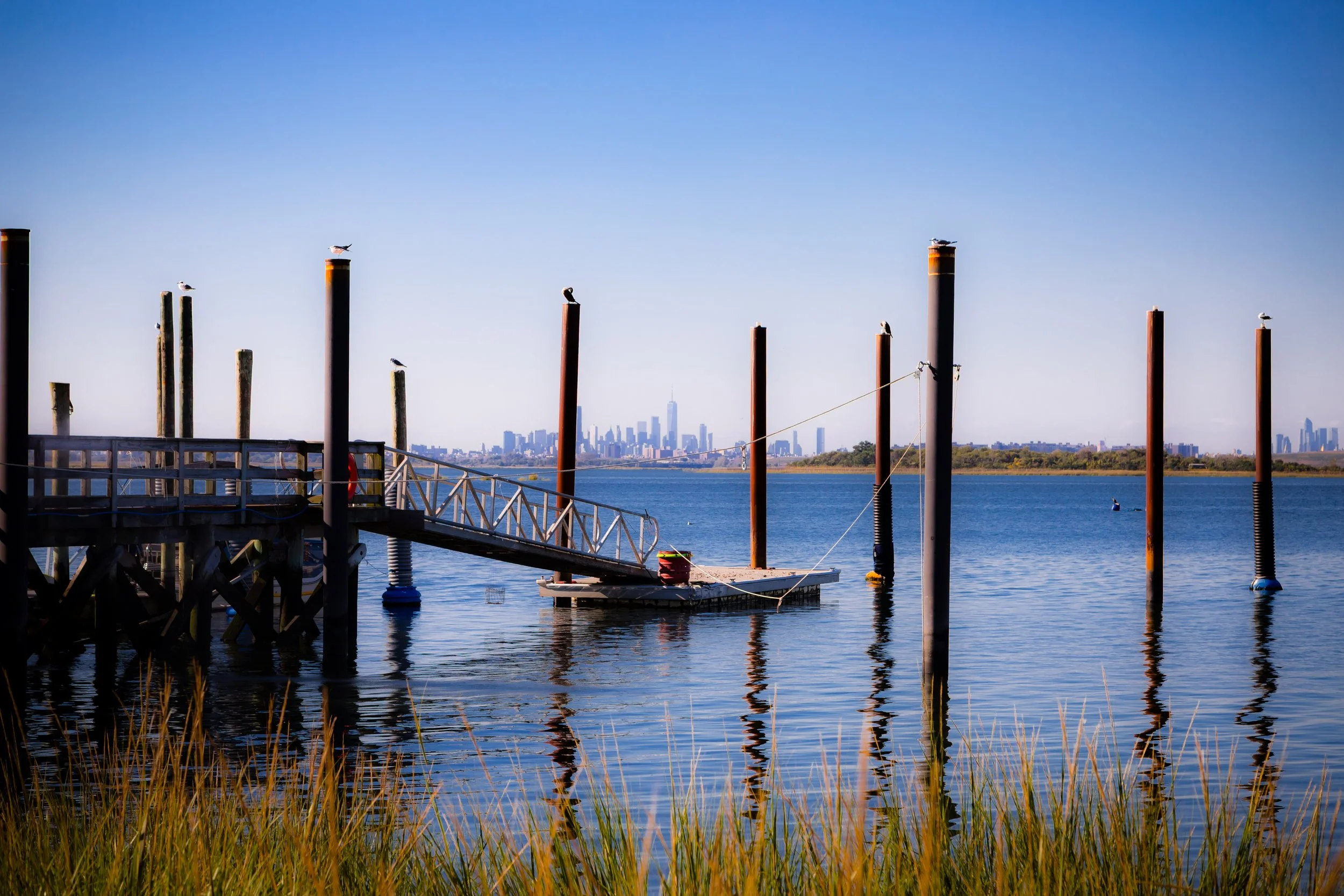 A calm body of water with wooden posts and a floating dock, in the distance a city skyline with tall buildings, some seagulls sitting on posts, and a small boat on the water.
