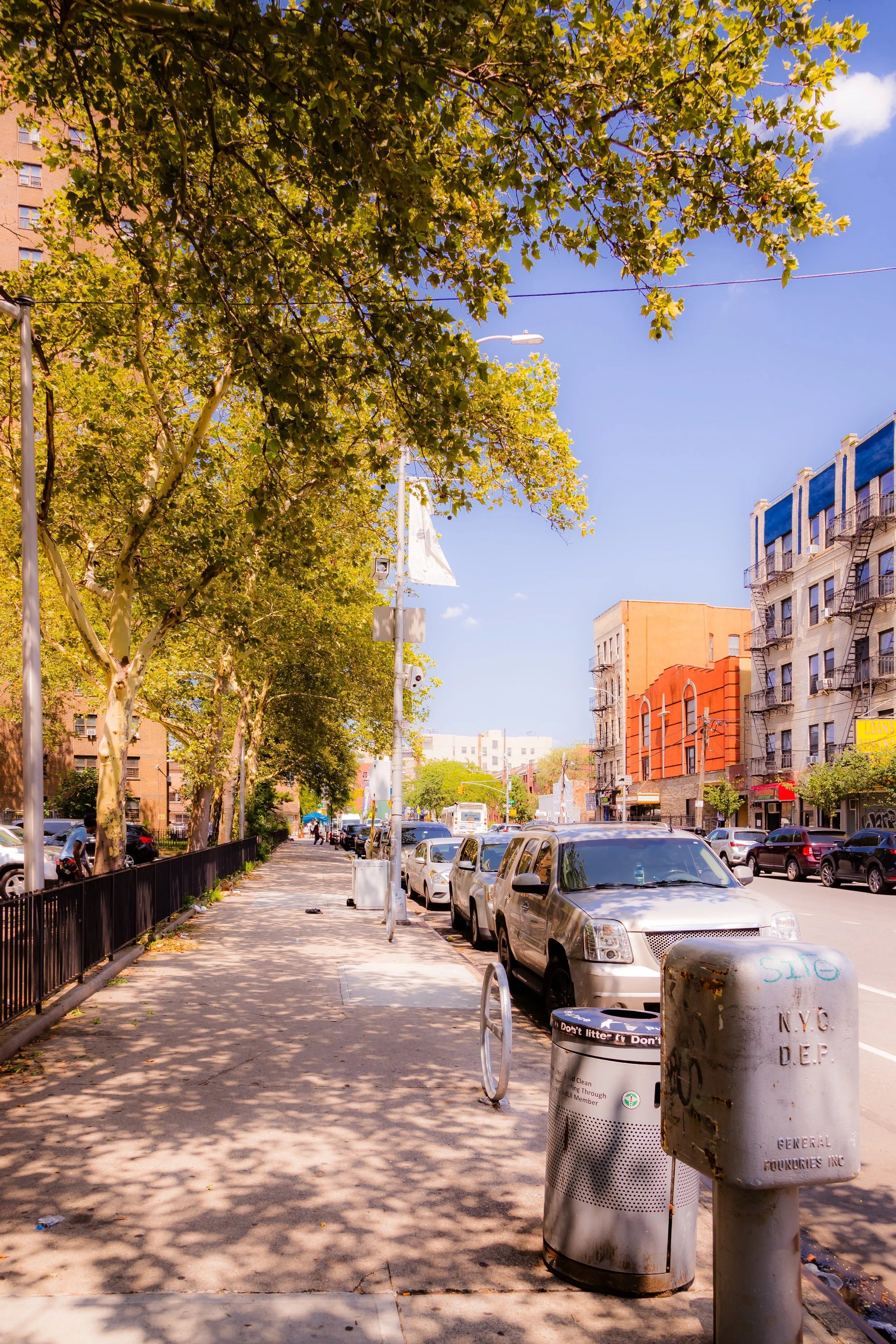 City sidewalk with trees, parked cars, trash can, and building storefronts on a sunny day.