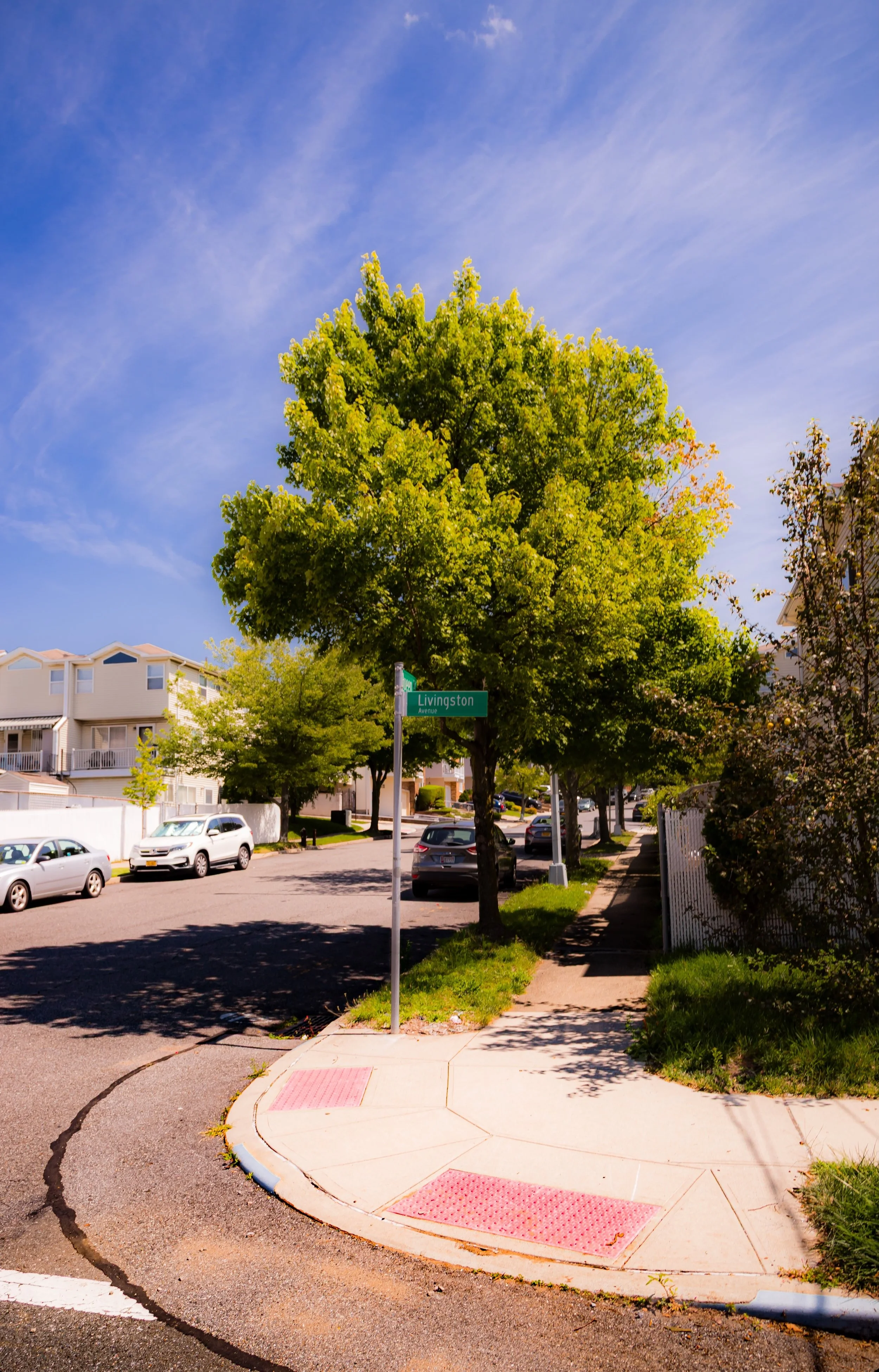 A sunny urban street corner with a large green tree shaded sidewalk, parked cars lining the street, and a street sign that reads 'Livingston Avenue.' Residential buildings are visible in the background under a blue sky with wispy clouds.