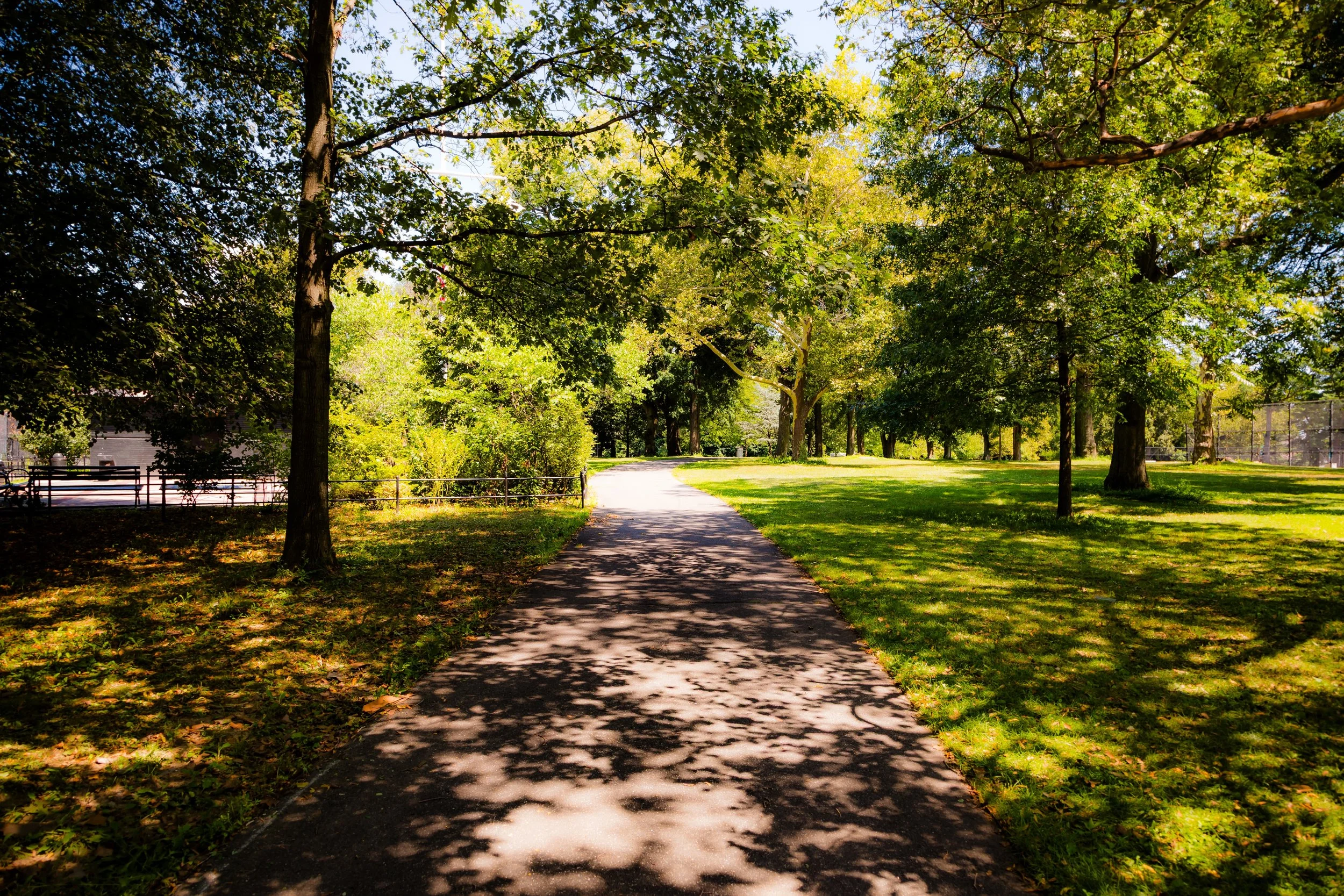 A paved walkway in a park surrounded by lush green trees and grass, with sunlight filtering through the leaves, casting shadows on the path.