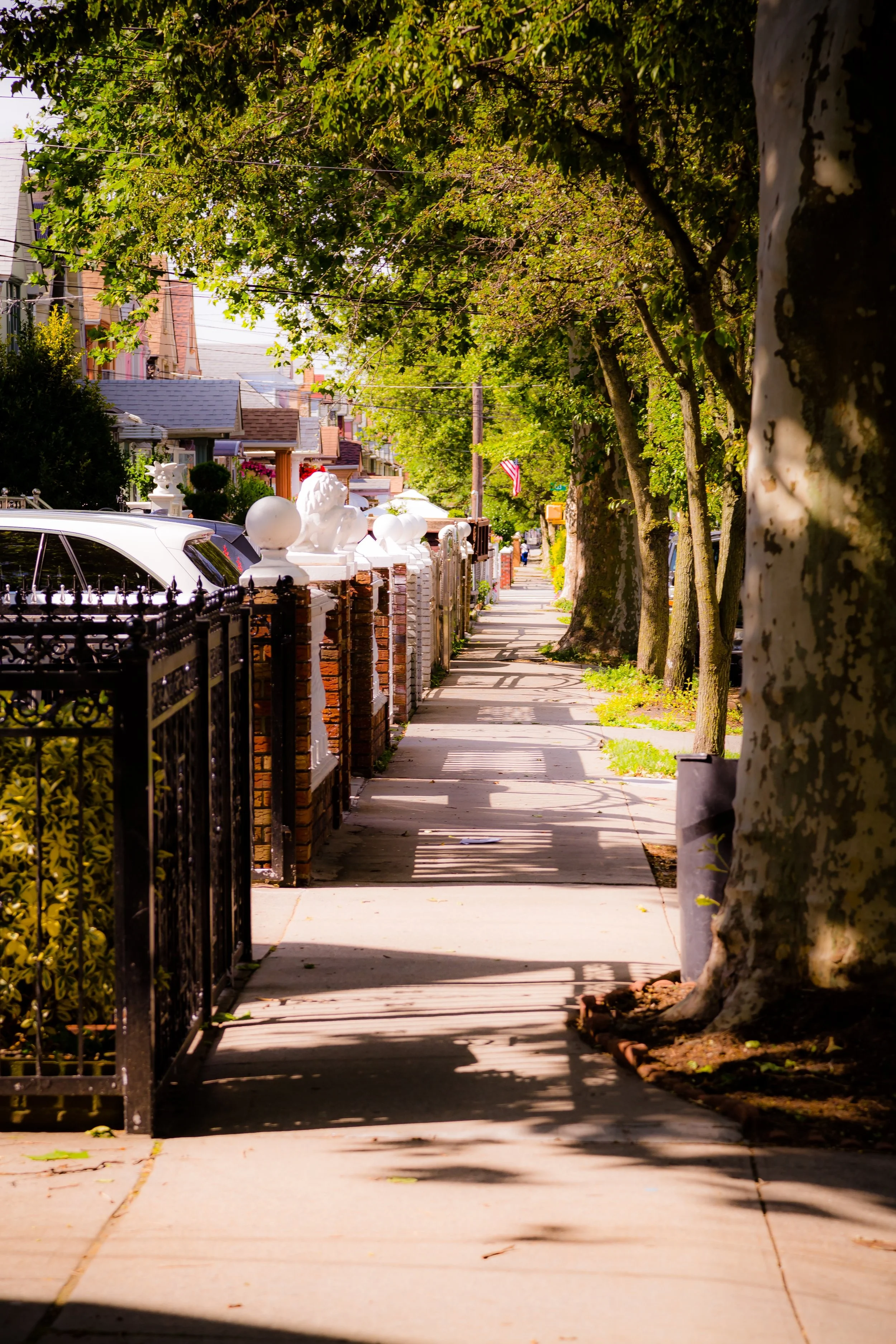 A quiet sidewalk in a residential neighborhood shaded by large trees, with houses and cars along the street.