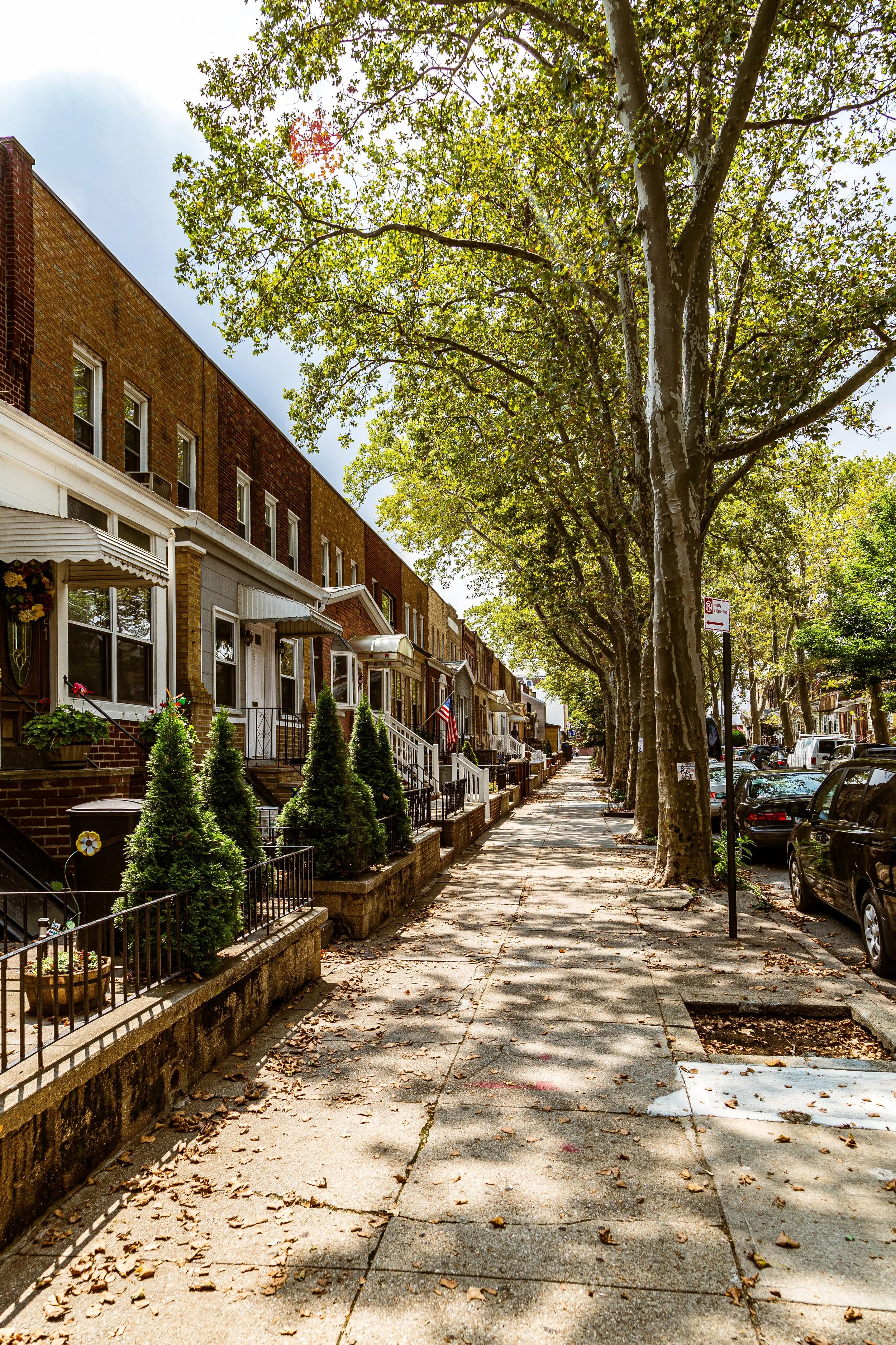 A sunny day on a residential street lined with braided trees and row houses with storefronts and porches.