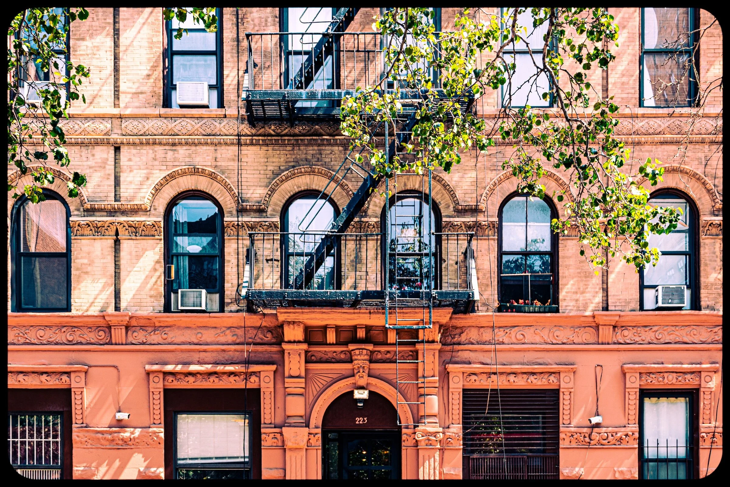 223 E28 - Click To Purchase Print