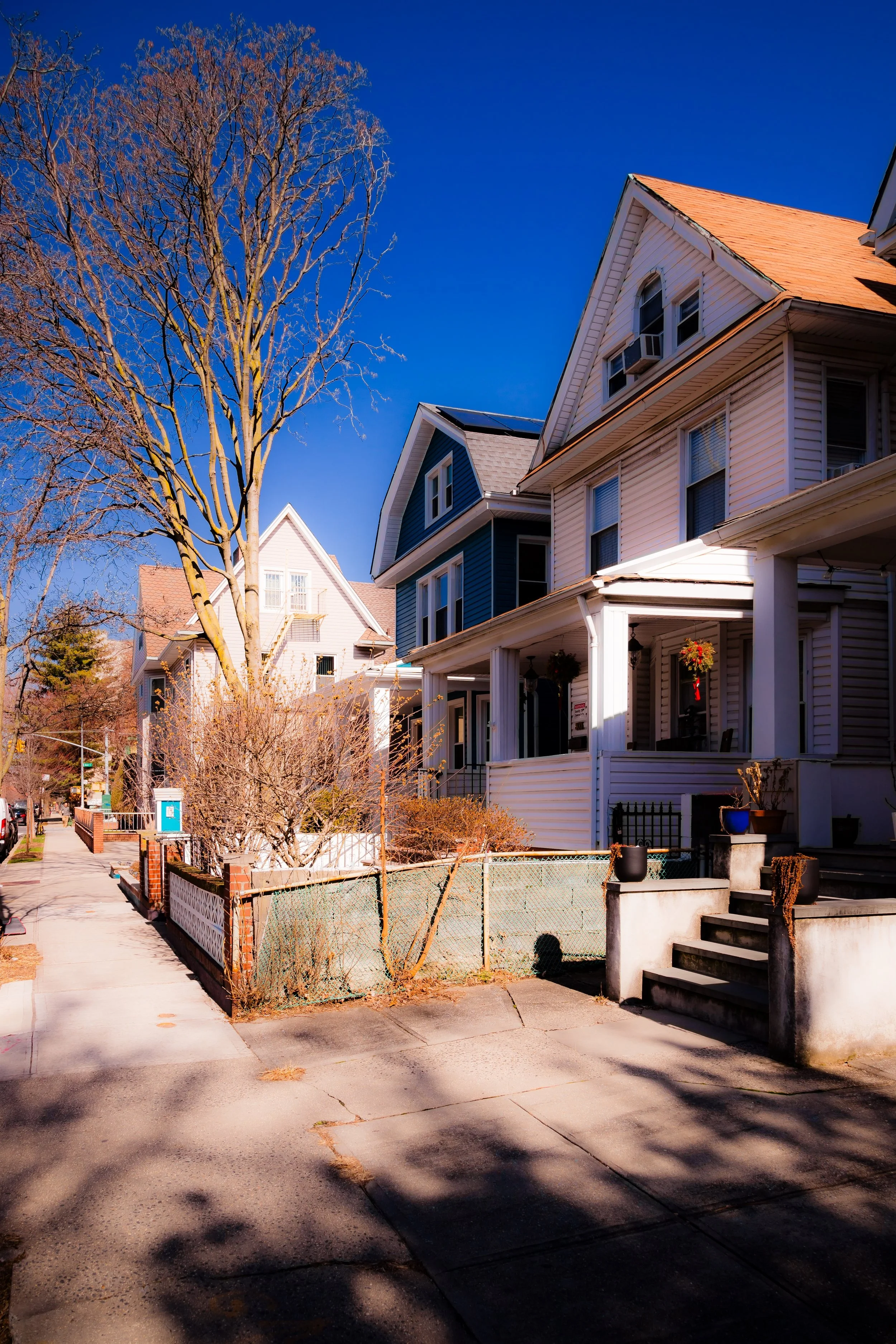 A row of houses on a residential street lined with trees, with some houses having porches decorated with hanging plants and potted plants, under a clear blue sky.